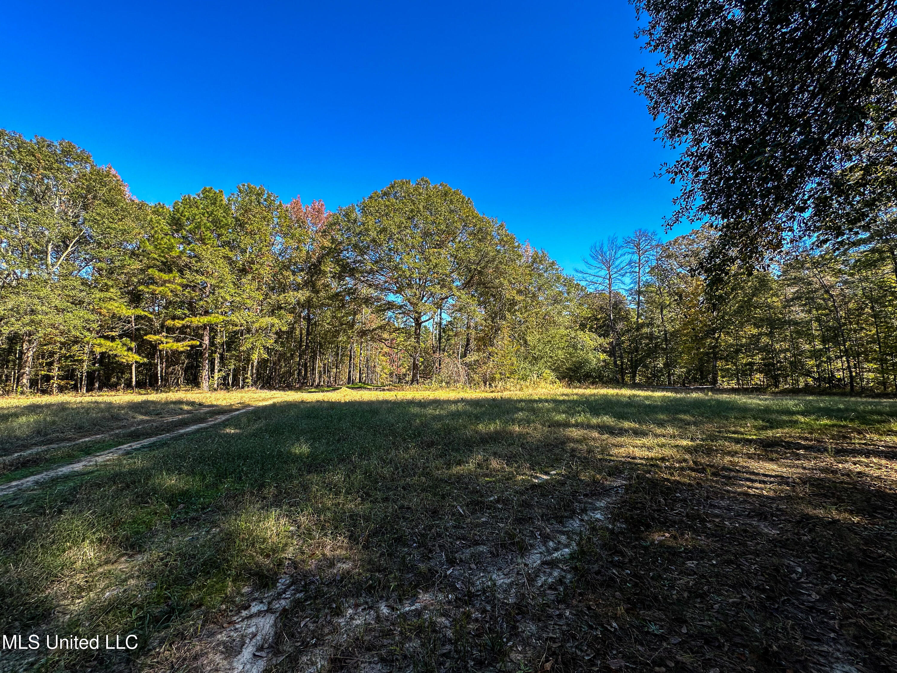 106 Crockrell Road Property Photo 27
