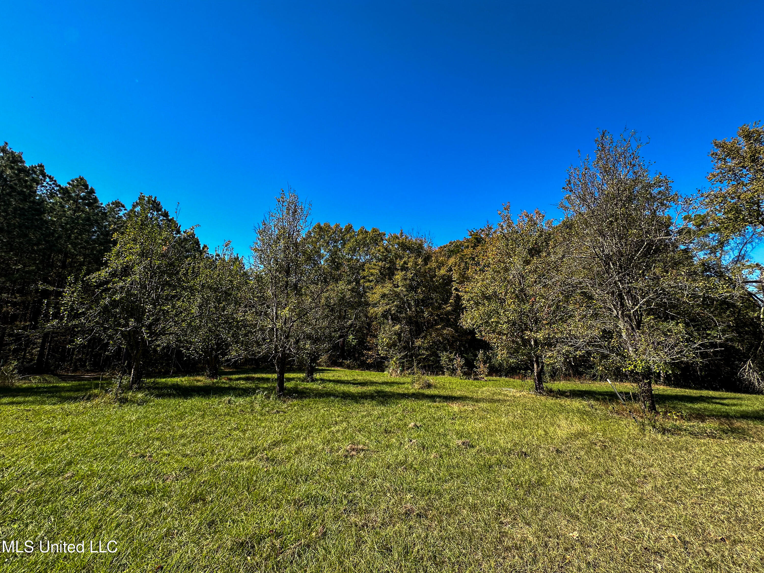 106 Crockrell Road Property Photo 34