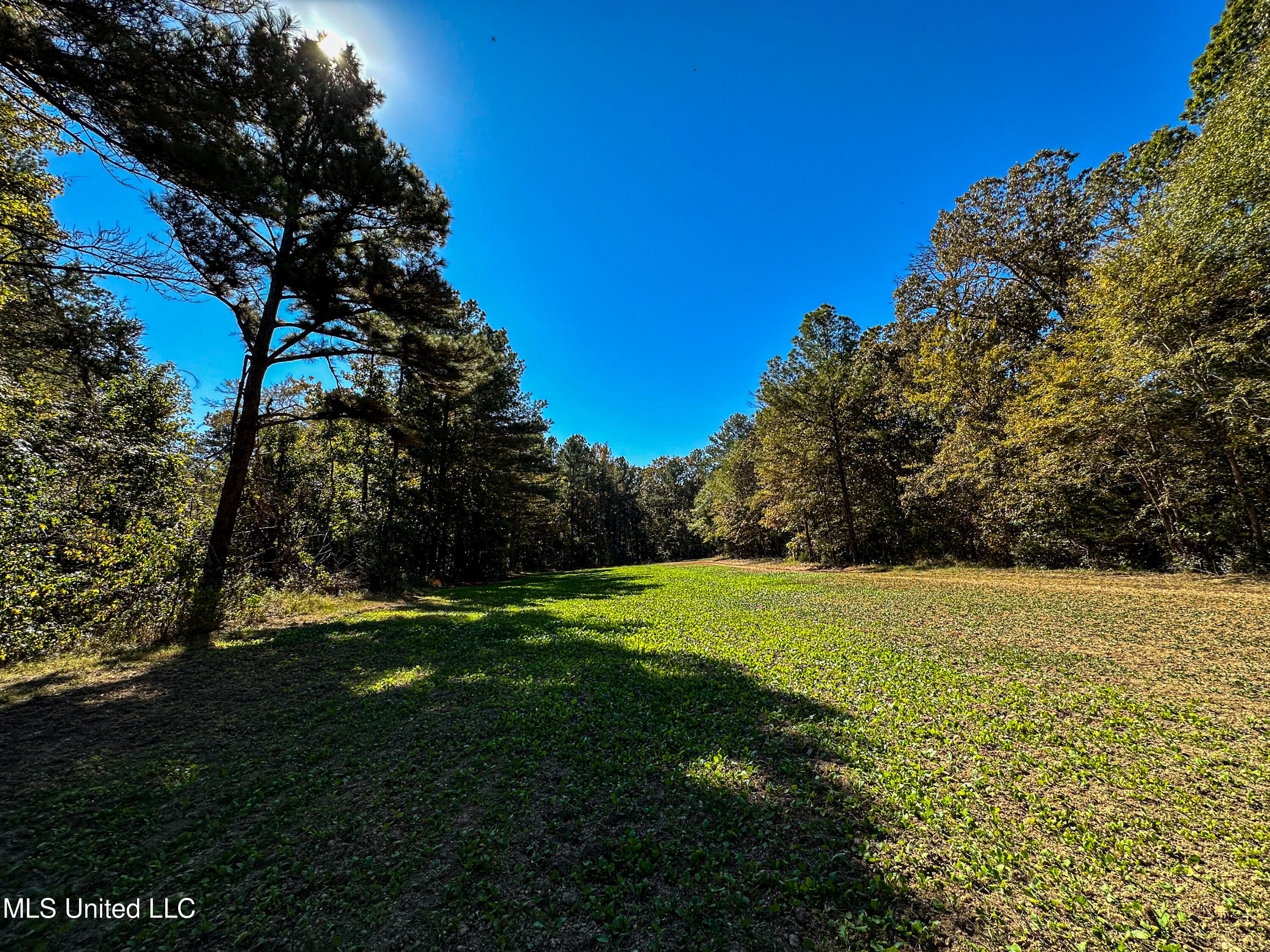 106 Crockrell Road Property Photo 45