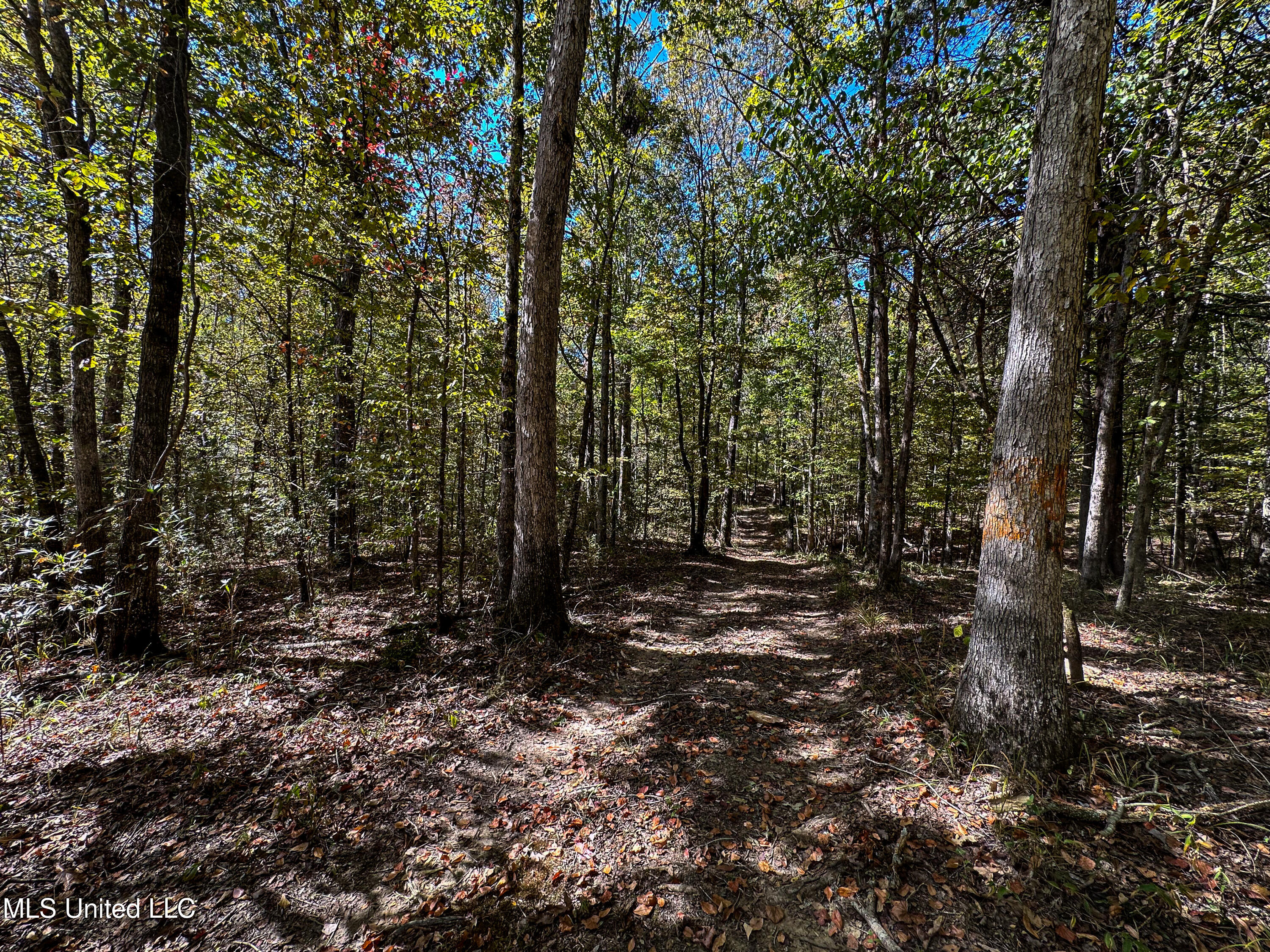 106 Crockrell Road Property Photo 76