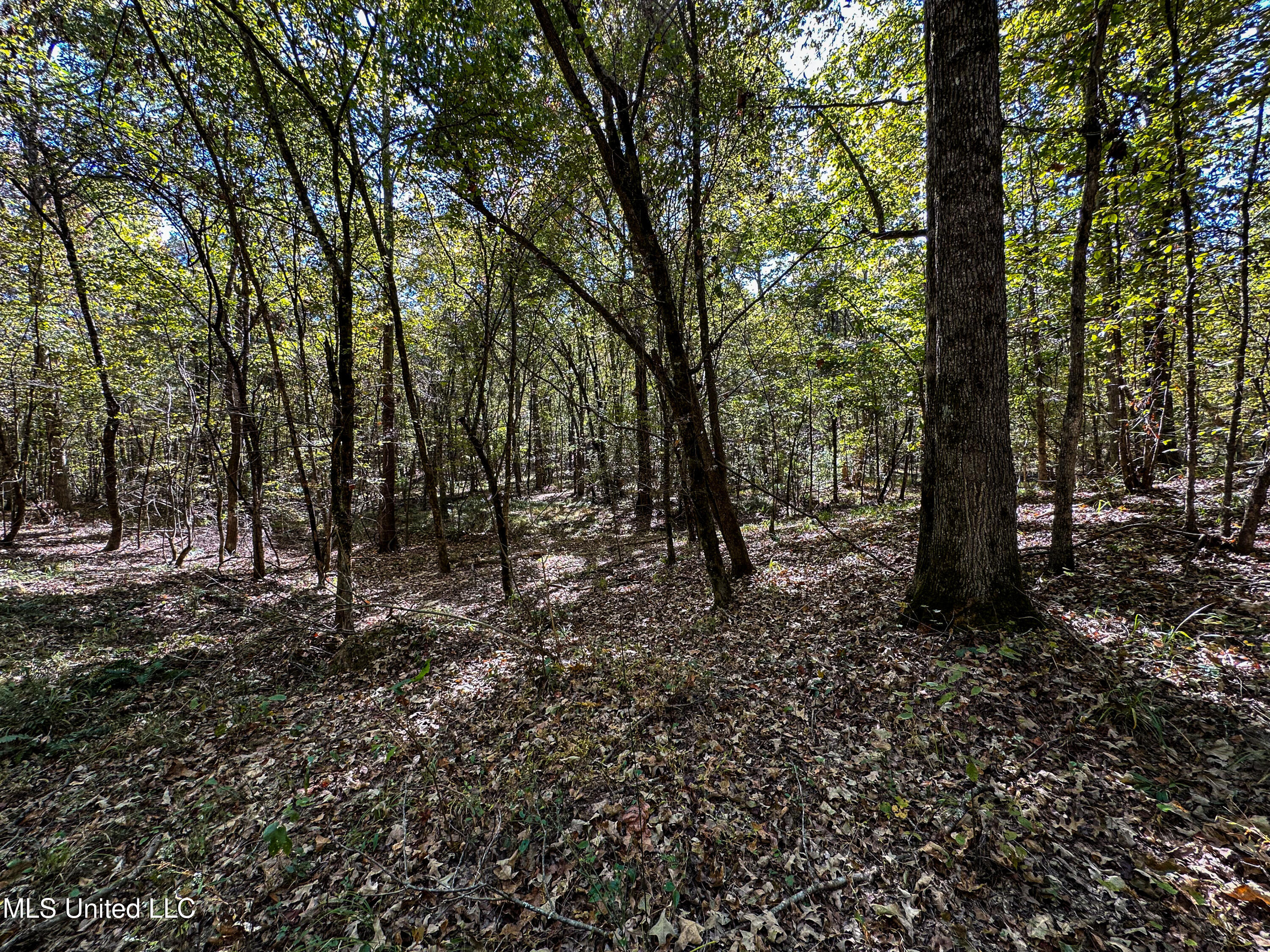 106 Crockrell Road Property Photo 77