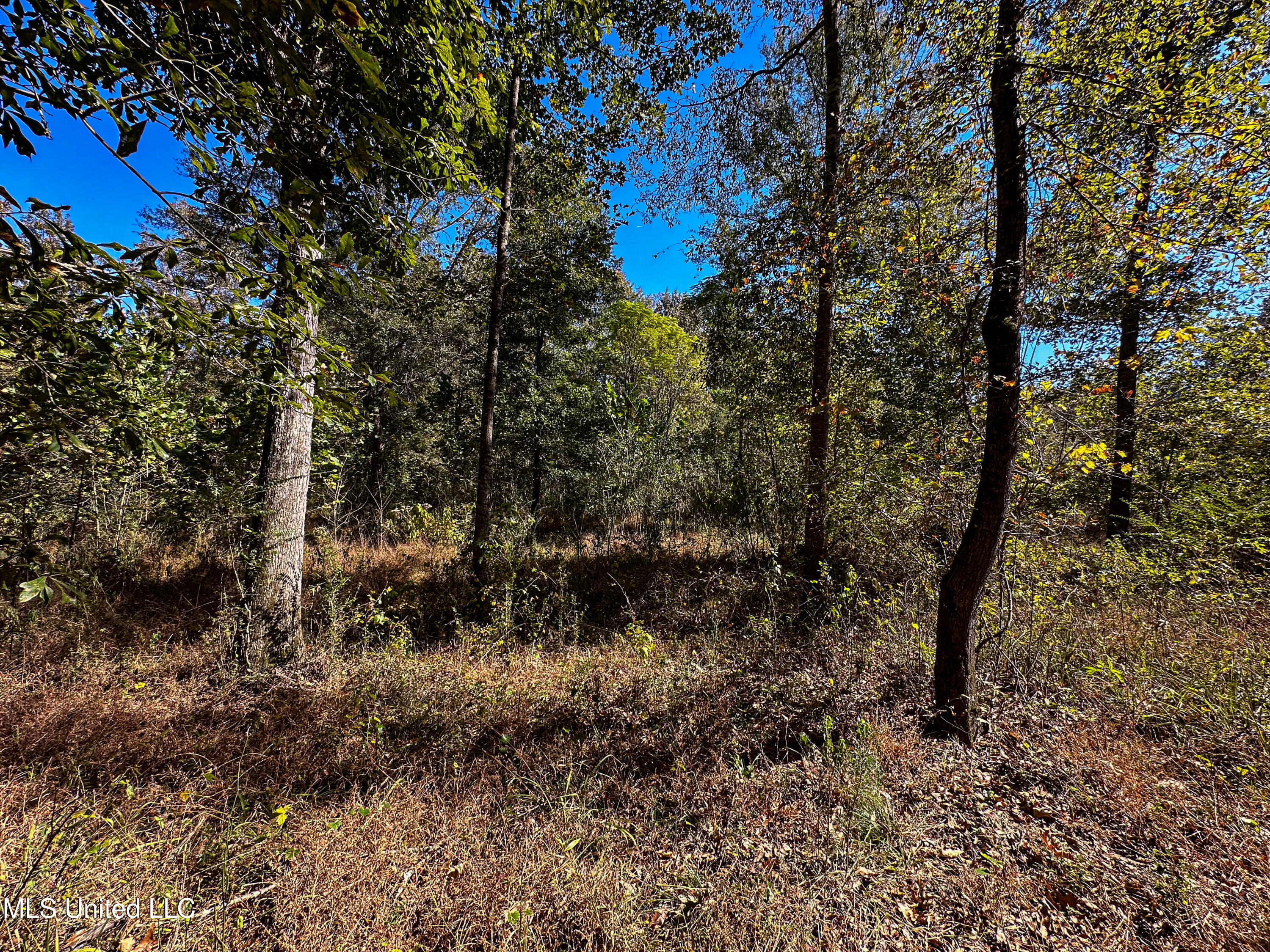 106 Crockrell Road Property Photo 84
