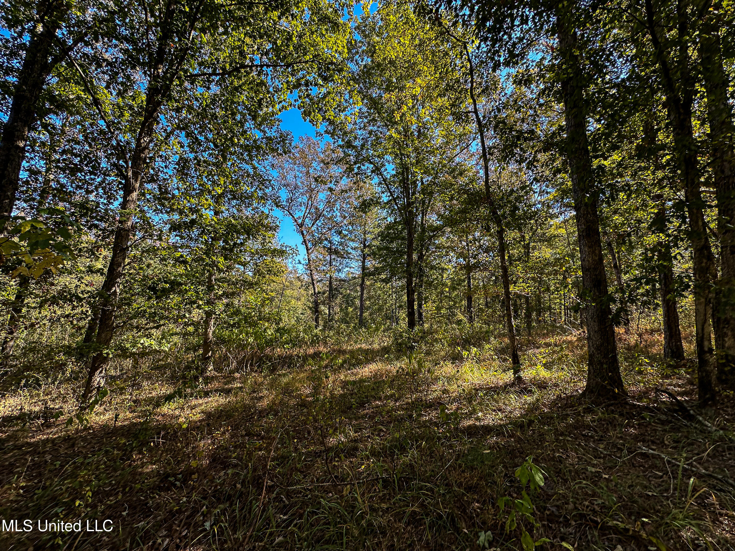 106 Crockrell Road Property Photo 85
