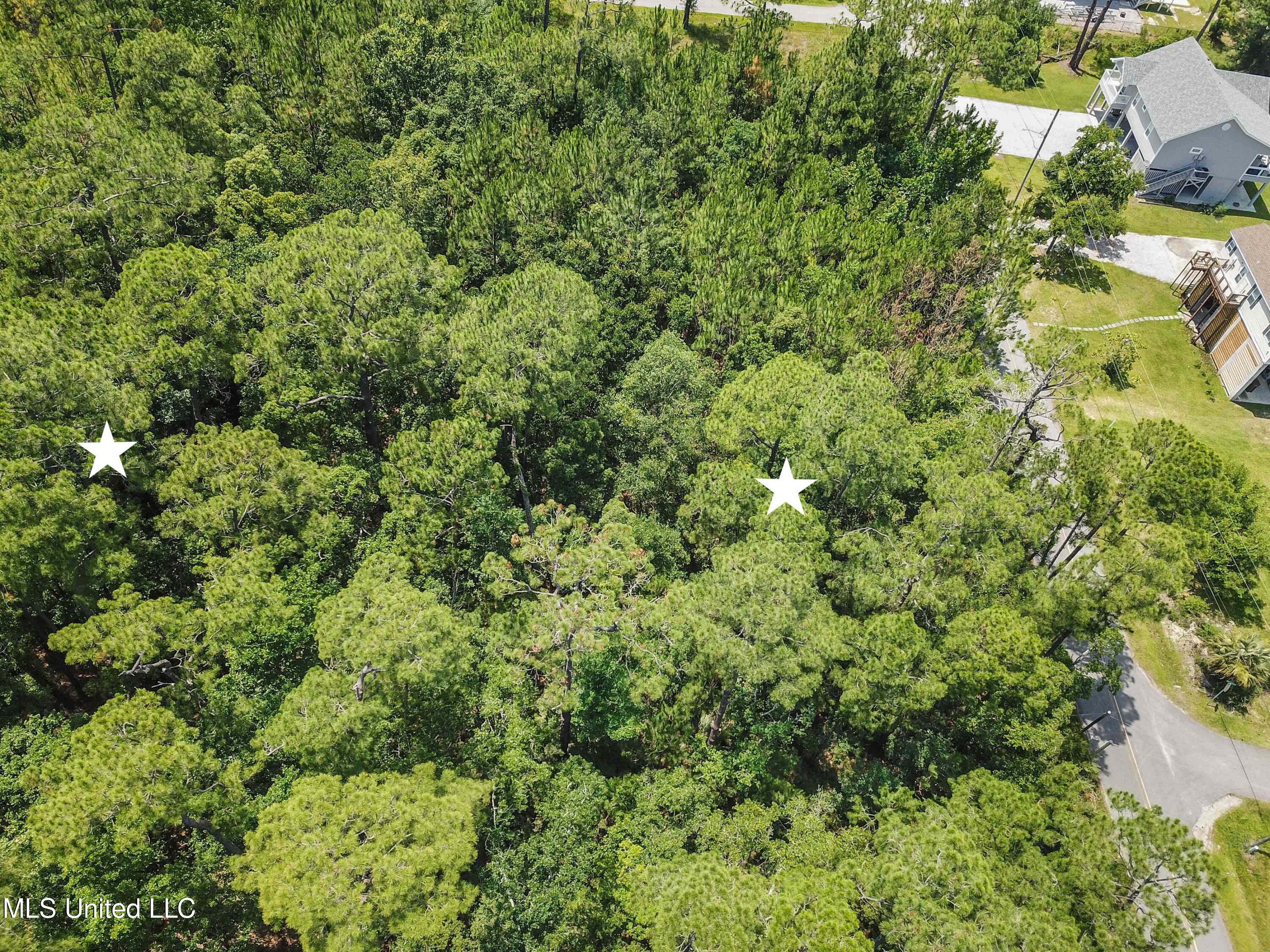 Lot 5 Poindexter Drive Property Photo 5