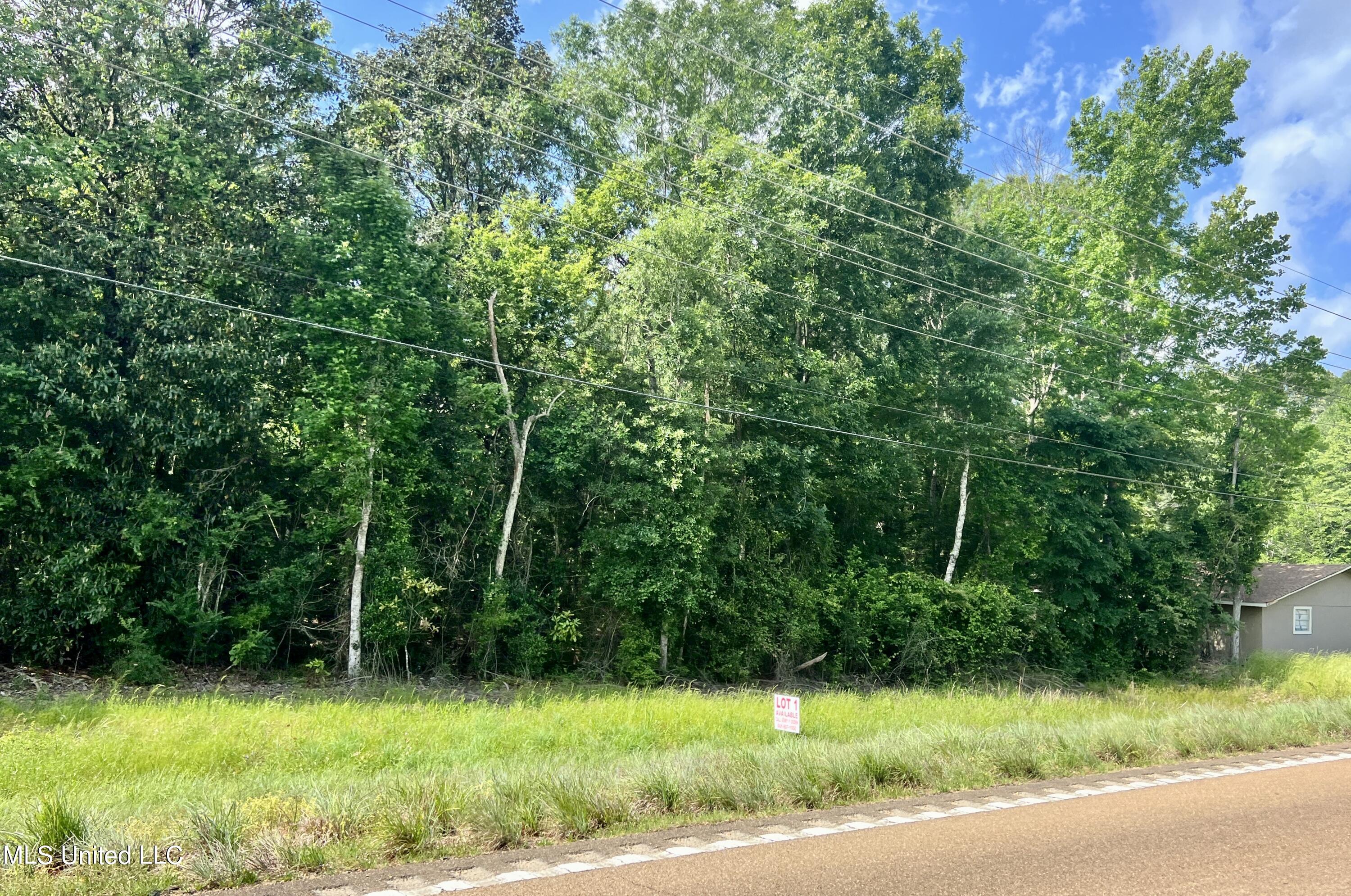 Lot 1 Highway 24 Property Photo 1