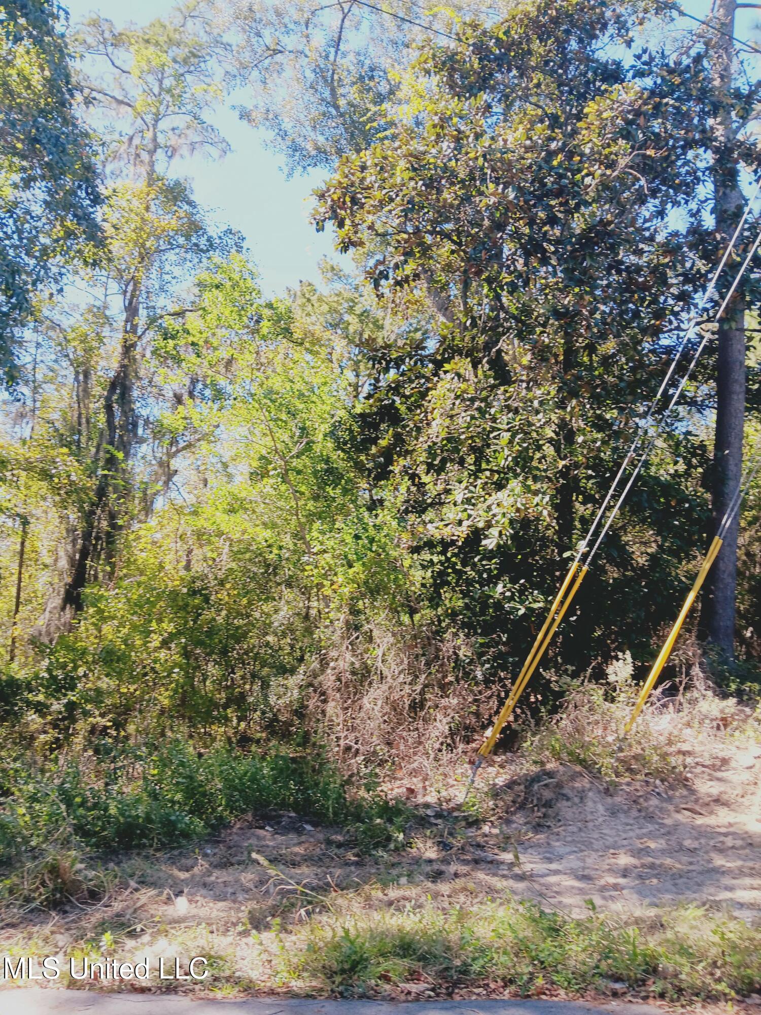 Riverroad Drive Property Photo 4