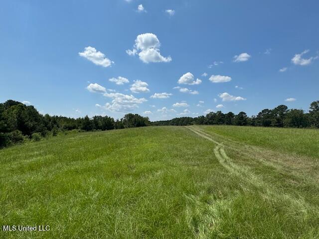 0 E Burt Loop Road Property Photo 1