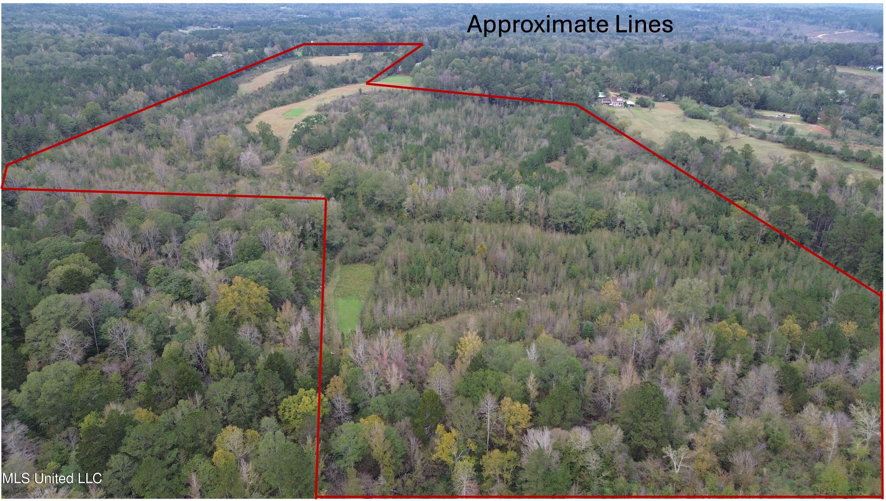 0 E Burt Loop Road Property Photo 2