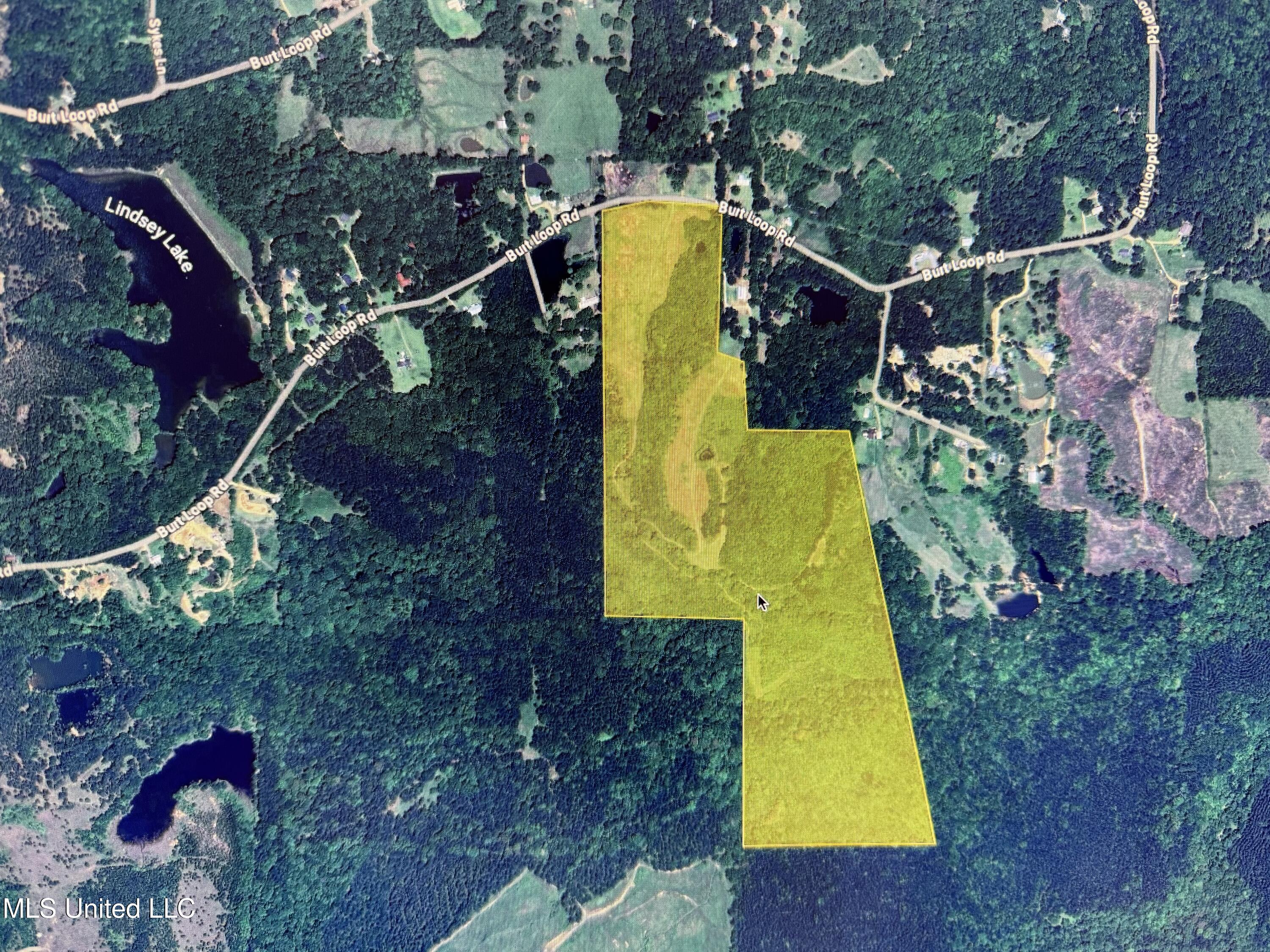 0 E Burt Loop Road Property Photo 3
