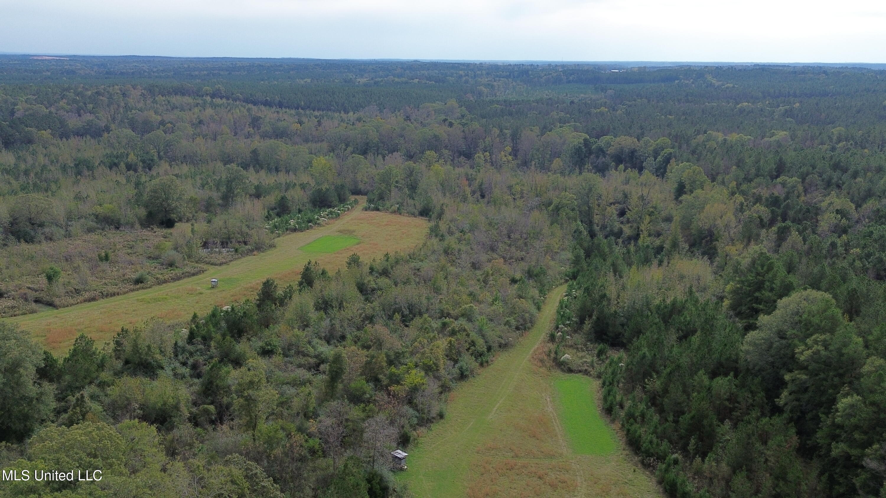 0 E Burt Loop Road Property Photo 4