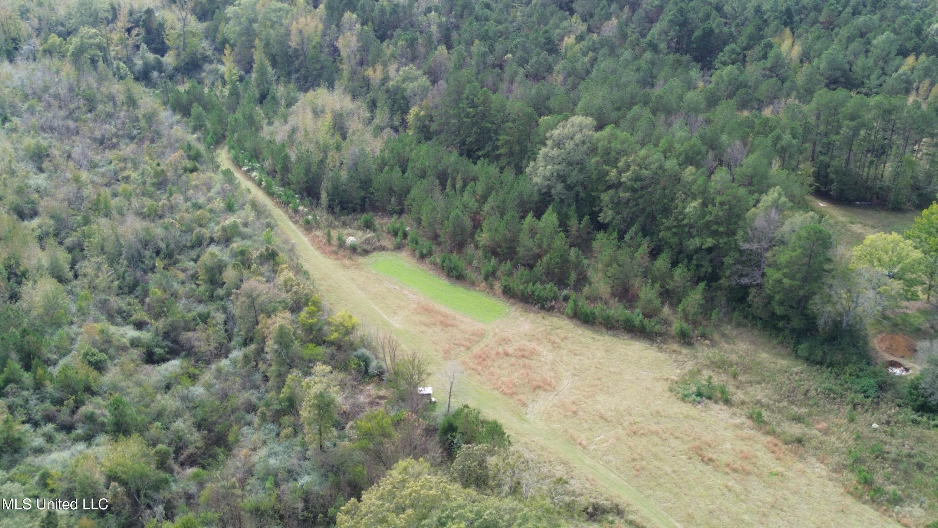 0 E Burt Loop Road Property Photo 5
