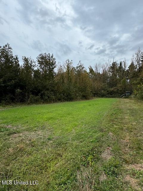 0 E Burt Loop Road Property Photo 10