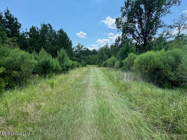 0 E Burt Loop Road Property Photo 11