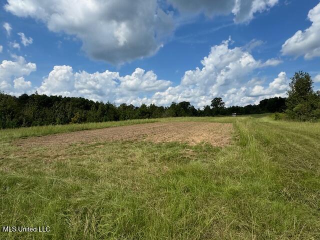 0 E Burt Loop Road Property Photo 12