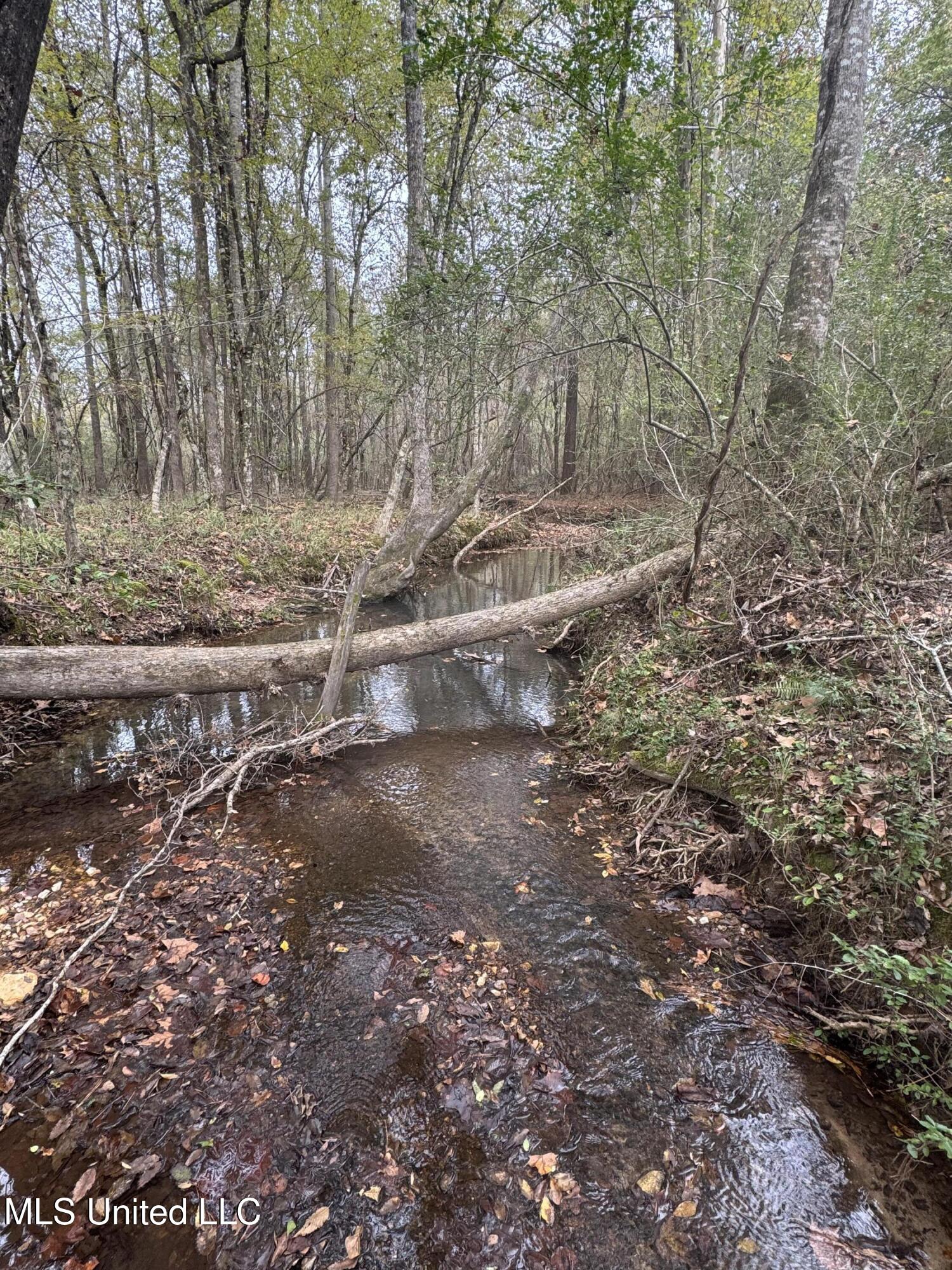 0 E Burt Loop Road Property Photo 14