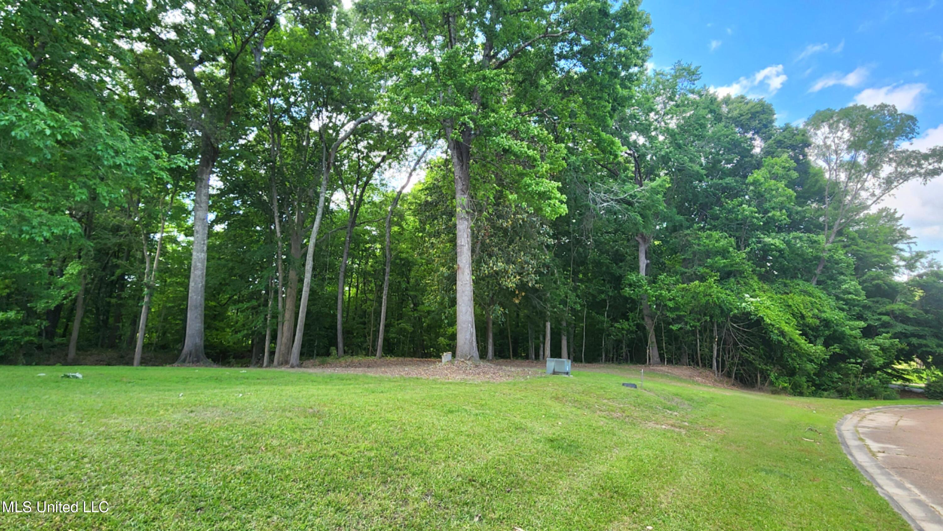 00 Bluff Hills Place Property Photo 1