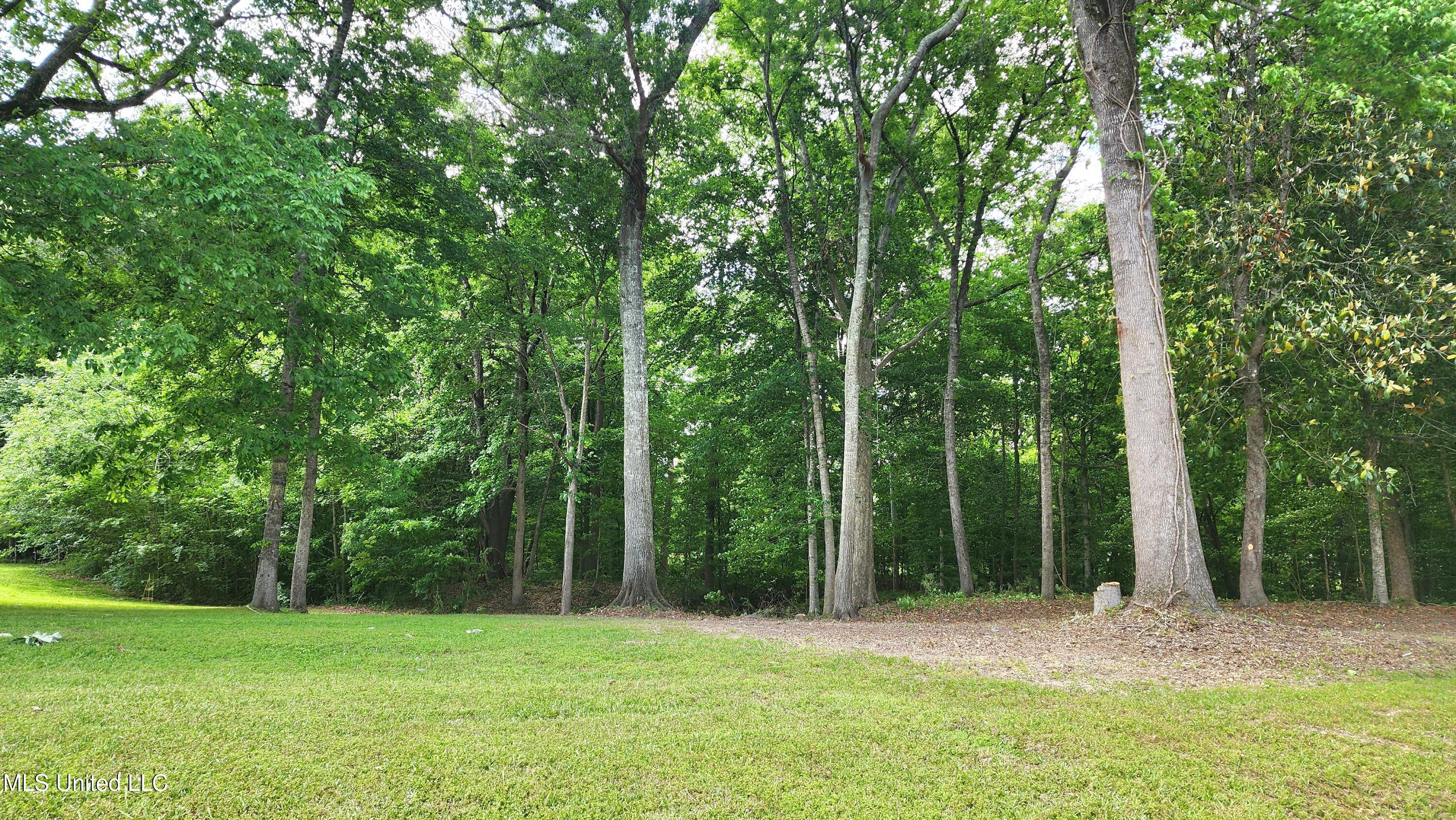 00 Bluff Hills Place Property Photo 2