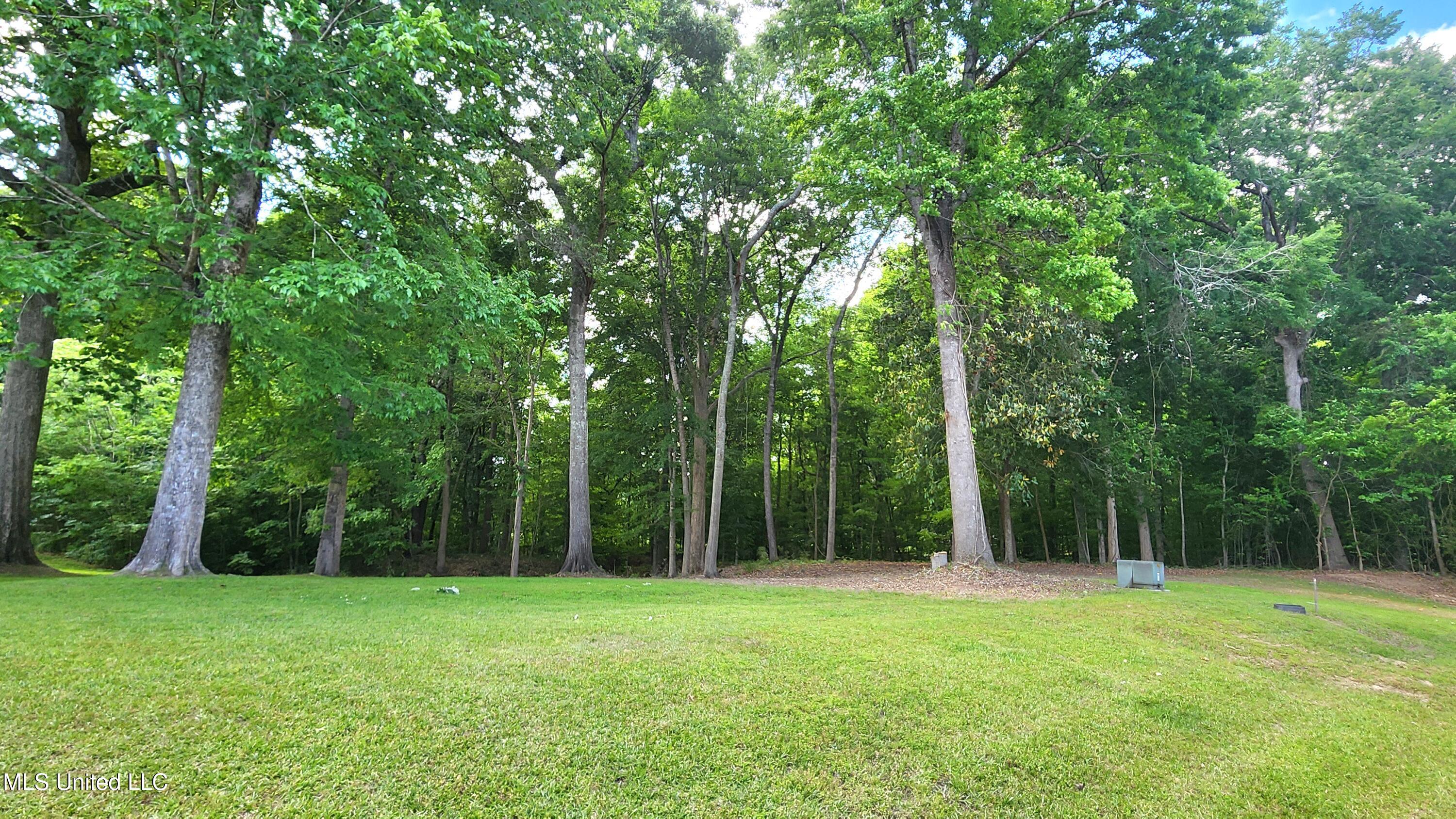 00 Bluff Hills Place Property Photo 3