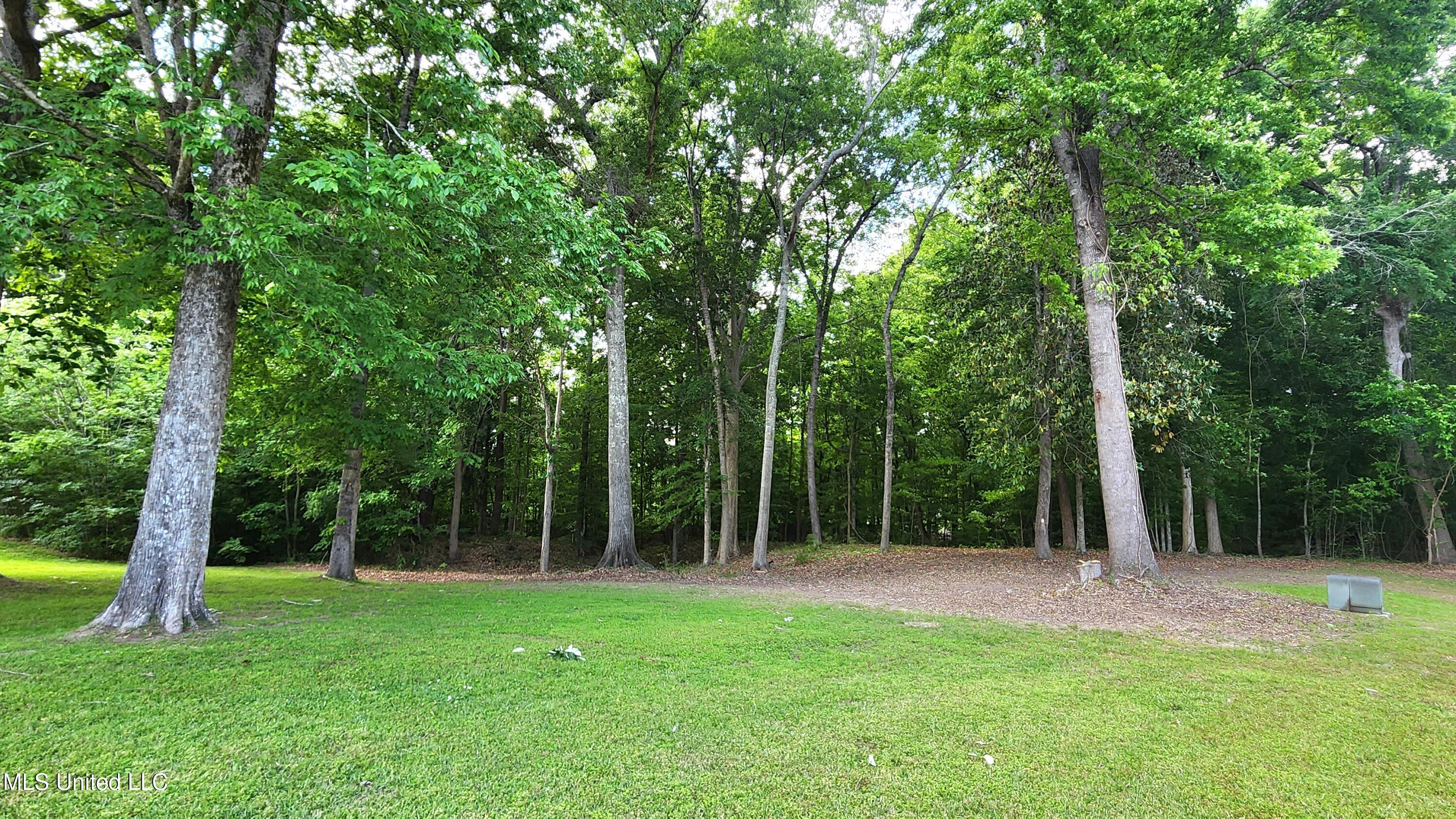 00 Bluff Hills Place Property Photo 4