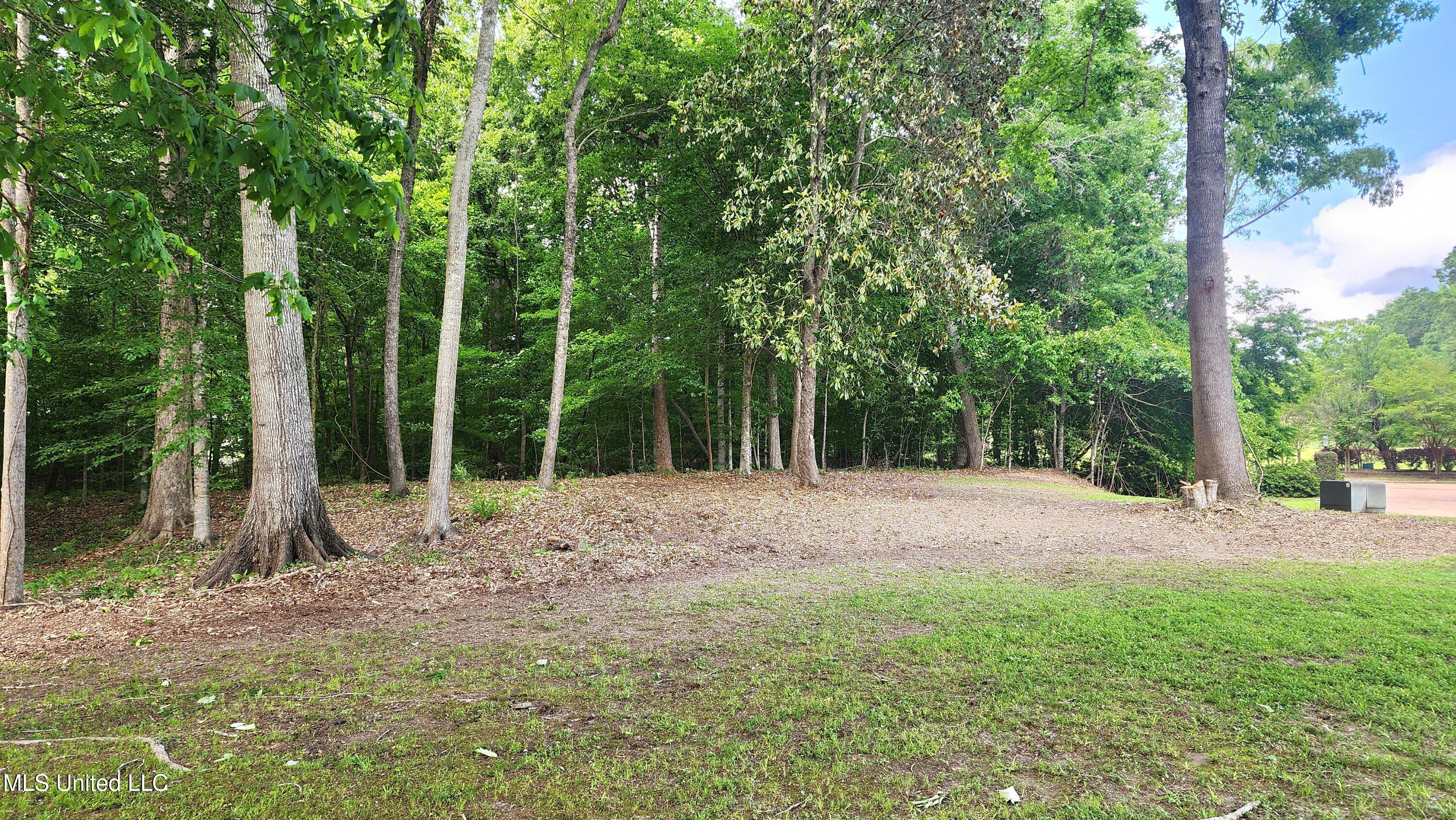 00 Bluff Hills Place Property Photo 5