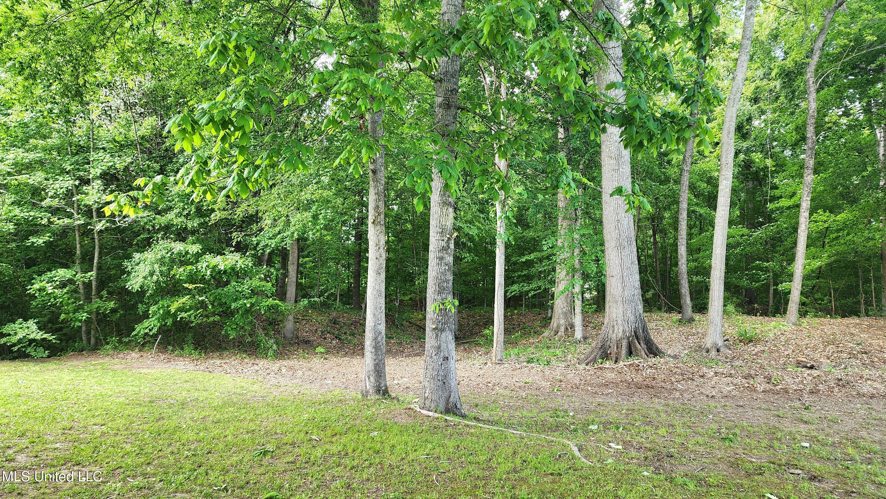 00 Bluff Hills Place Property Photo 6
