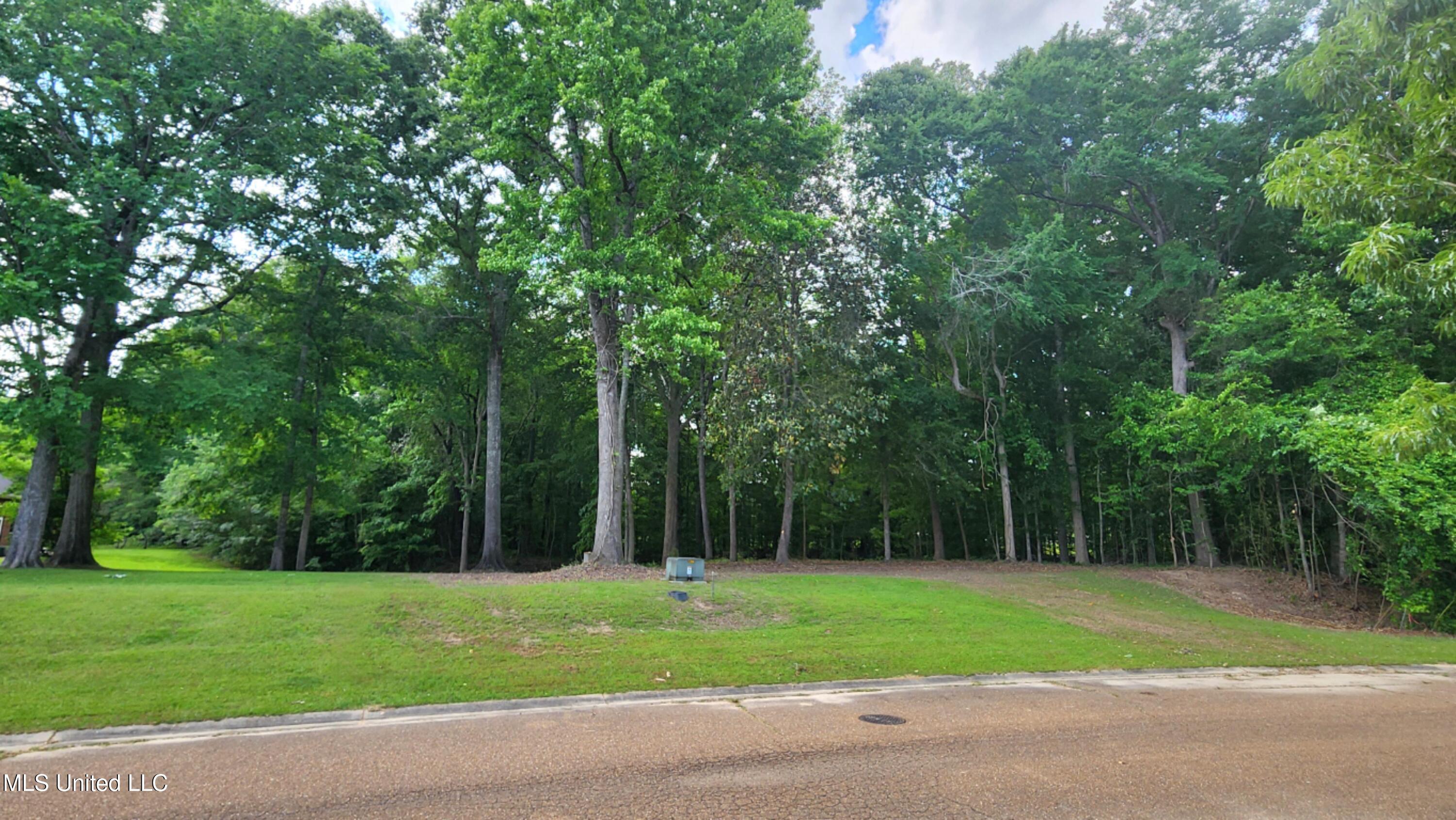 00 Bluff Hills Place Property Photo 9