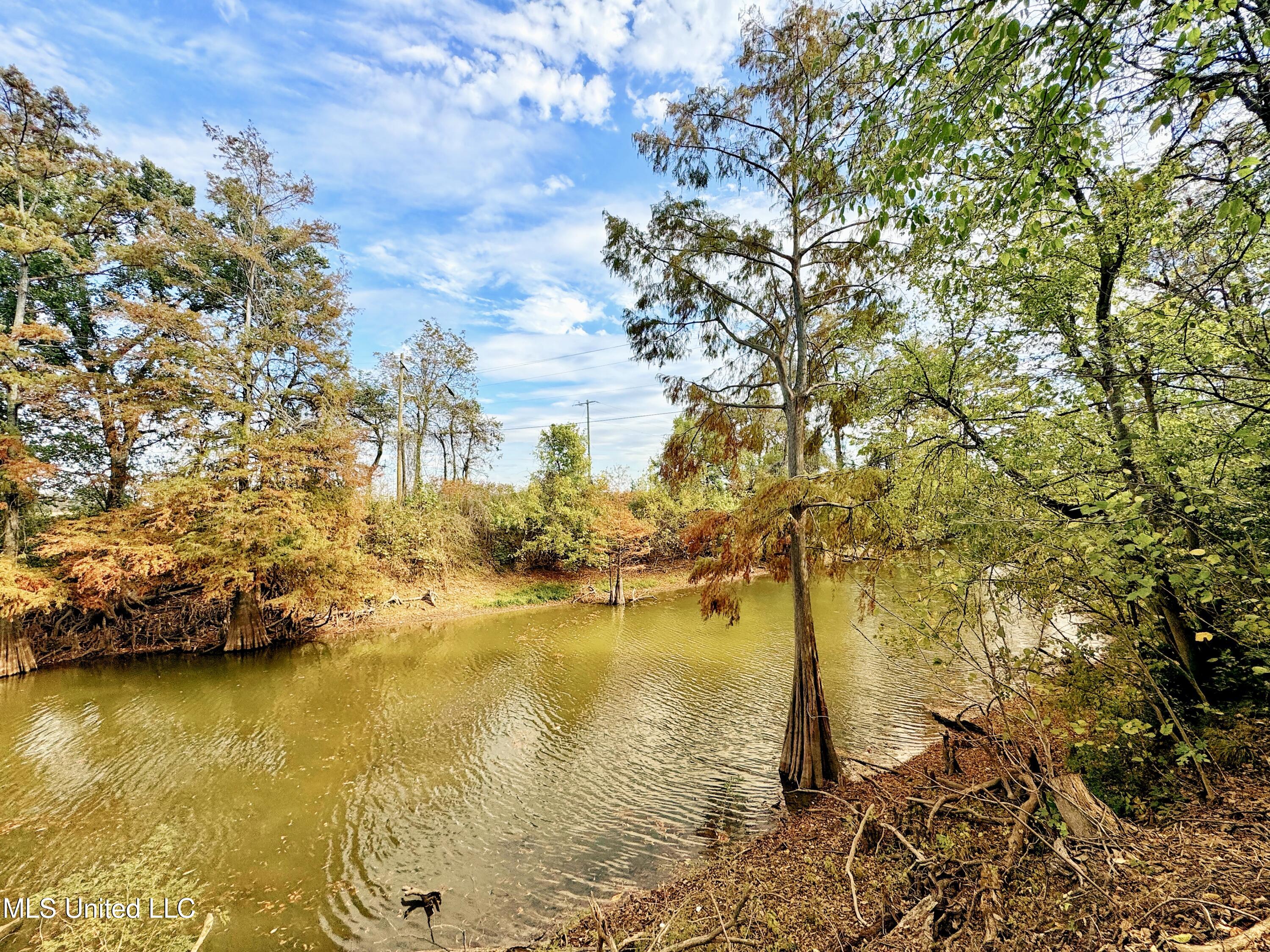 5860 Moon Lake Road Property Photo 33