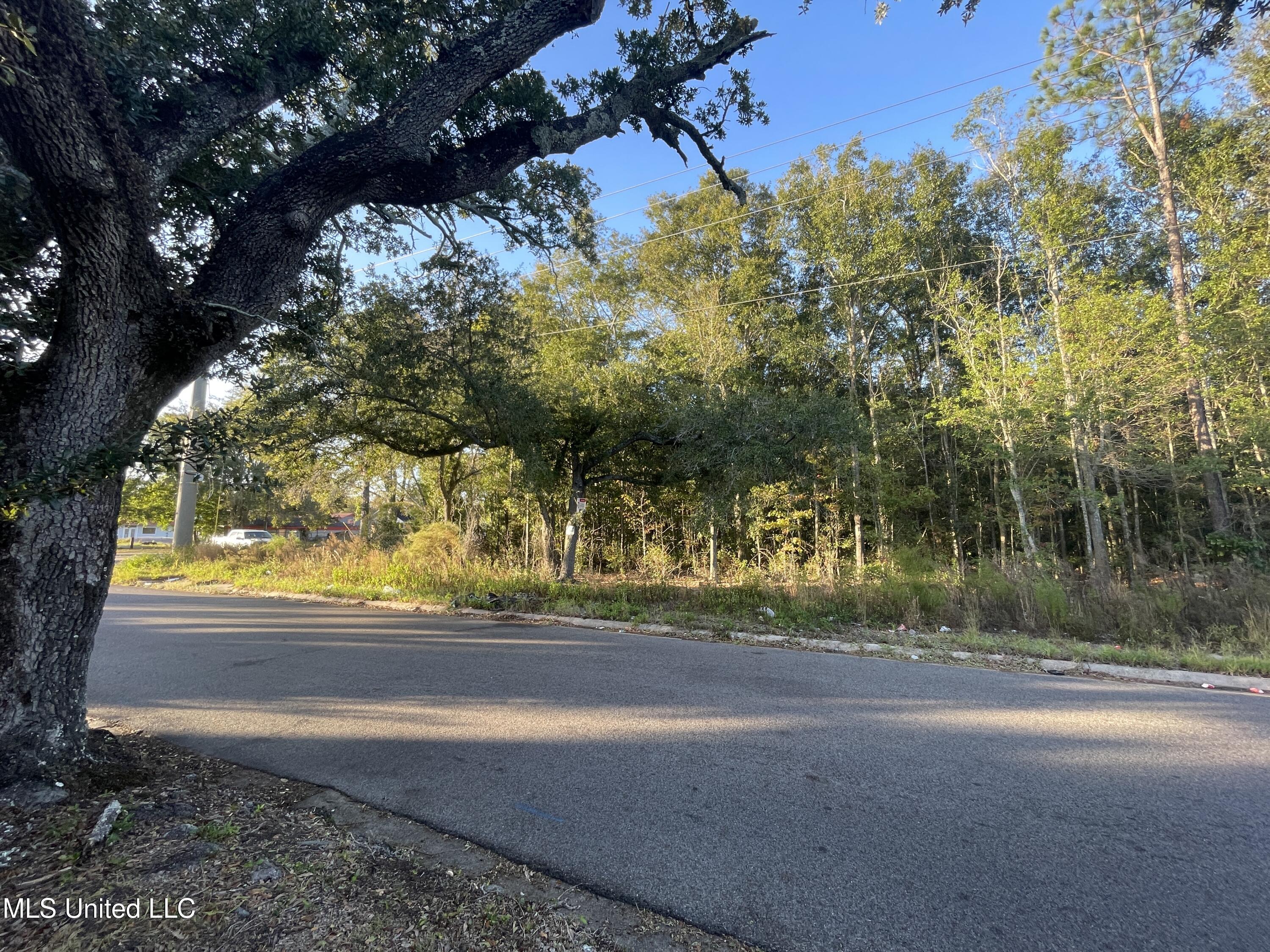 Lanier Avenue Property Photo 3