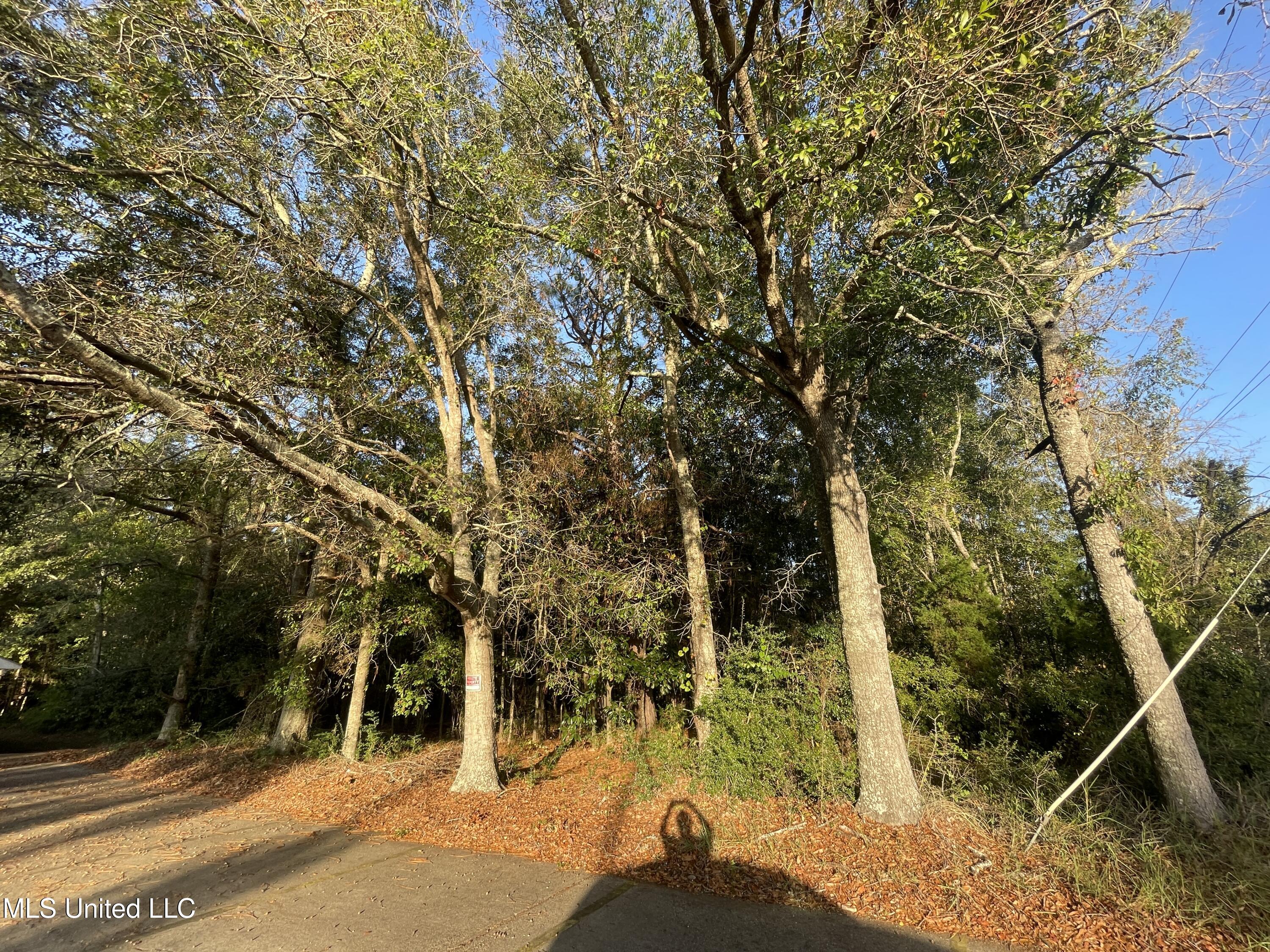 Lanier Avenue Property Photo 4