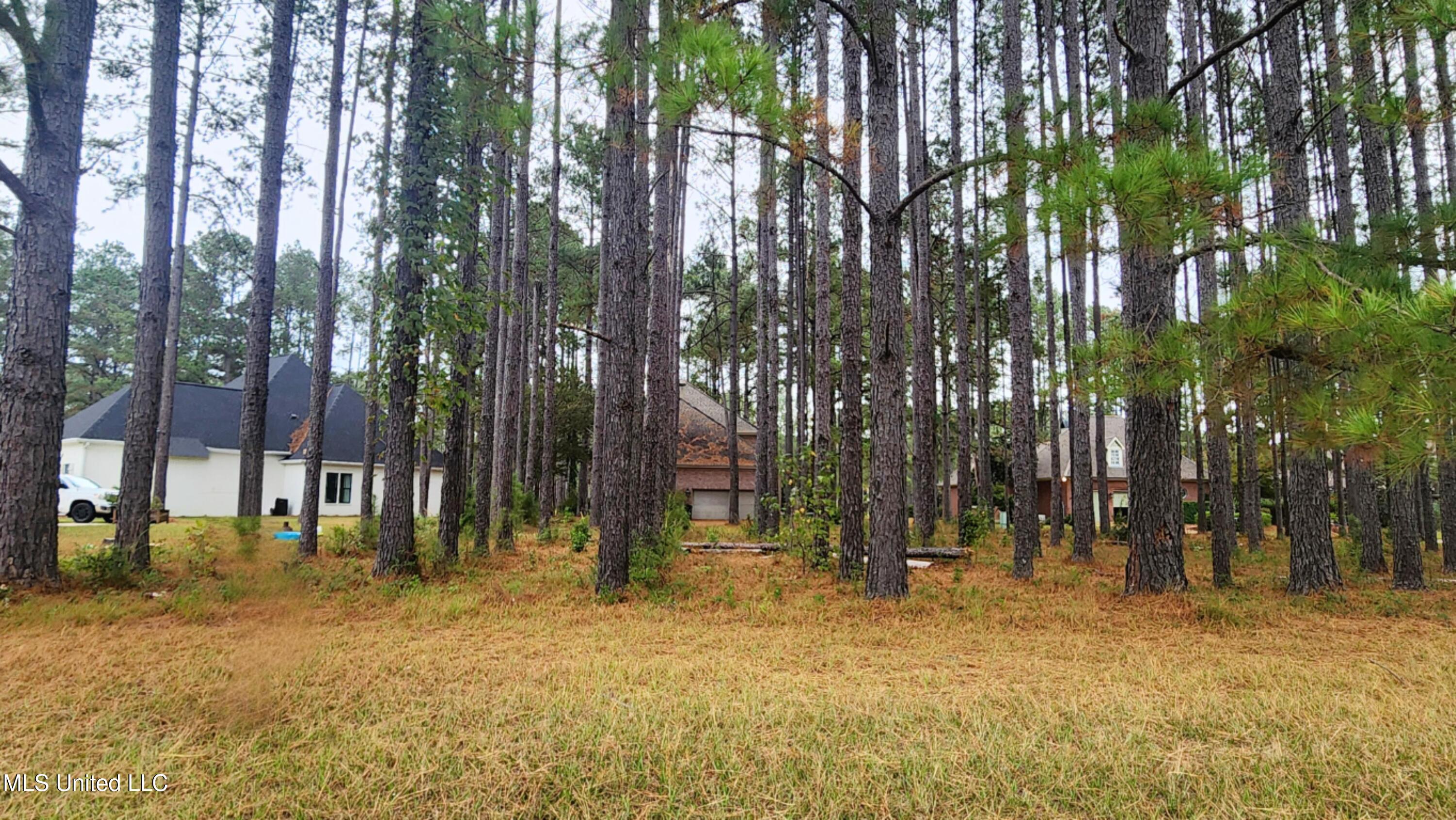 0 Pins Court Property Photo 2