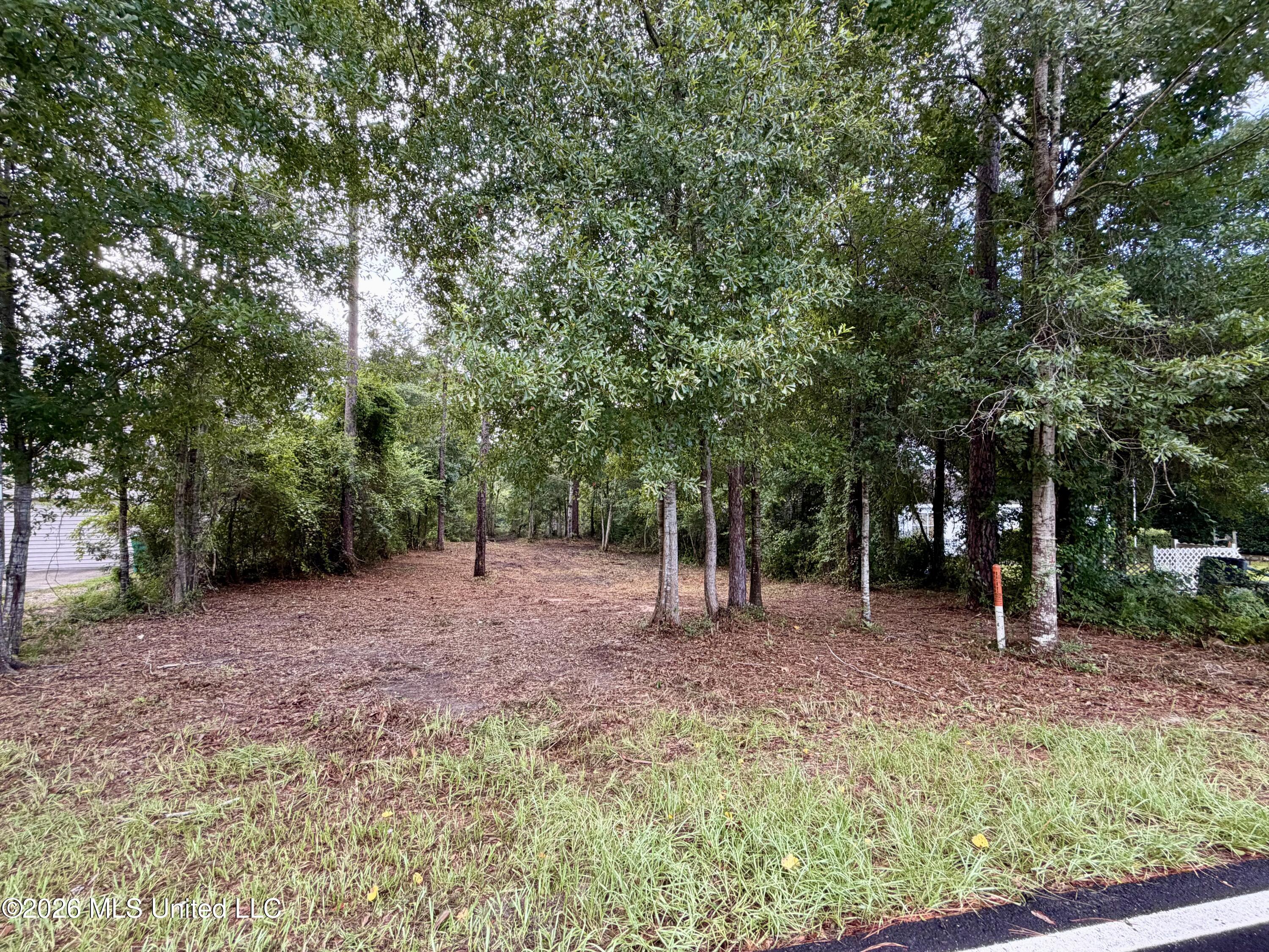 941 W Lakeshore Drive Property Photo 1