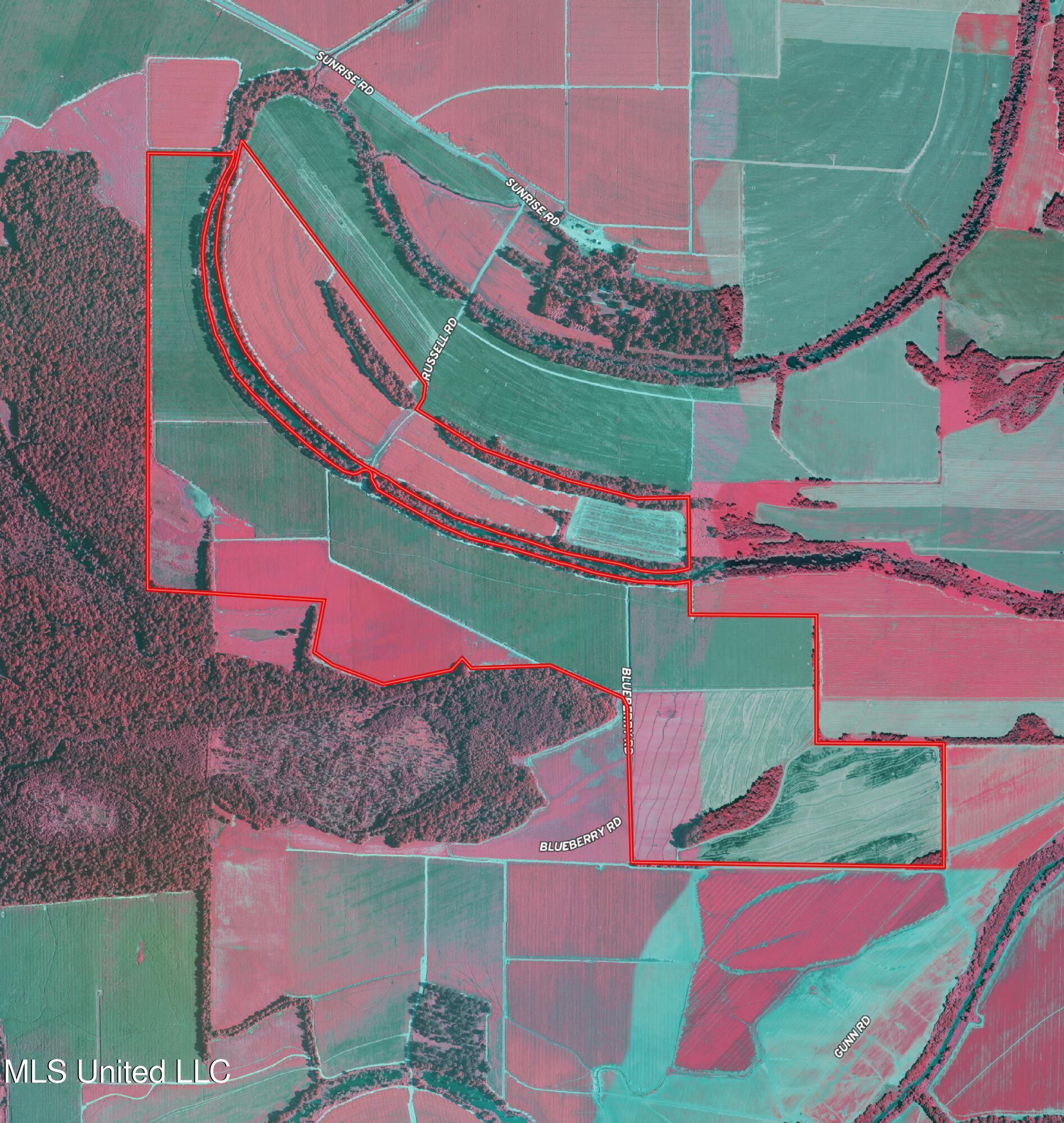 Sunrise Road Property Photo 15