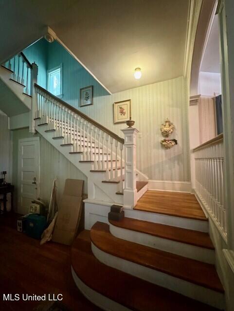206 Linton Avenue Property Photo 26