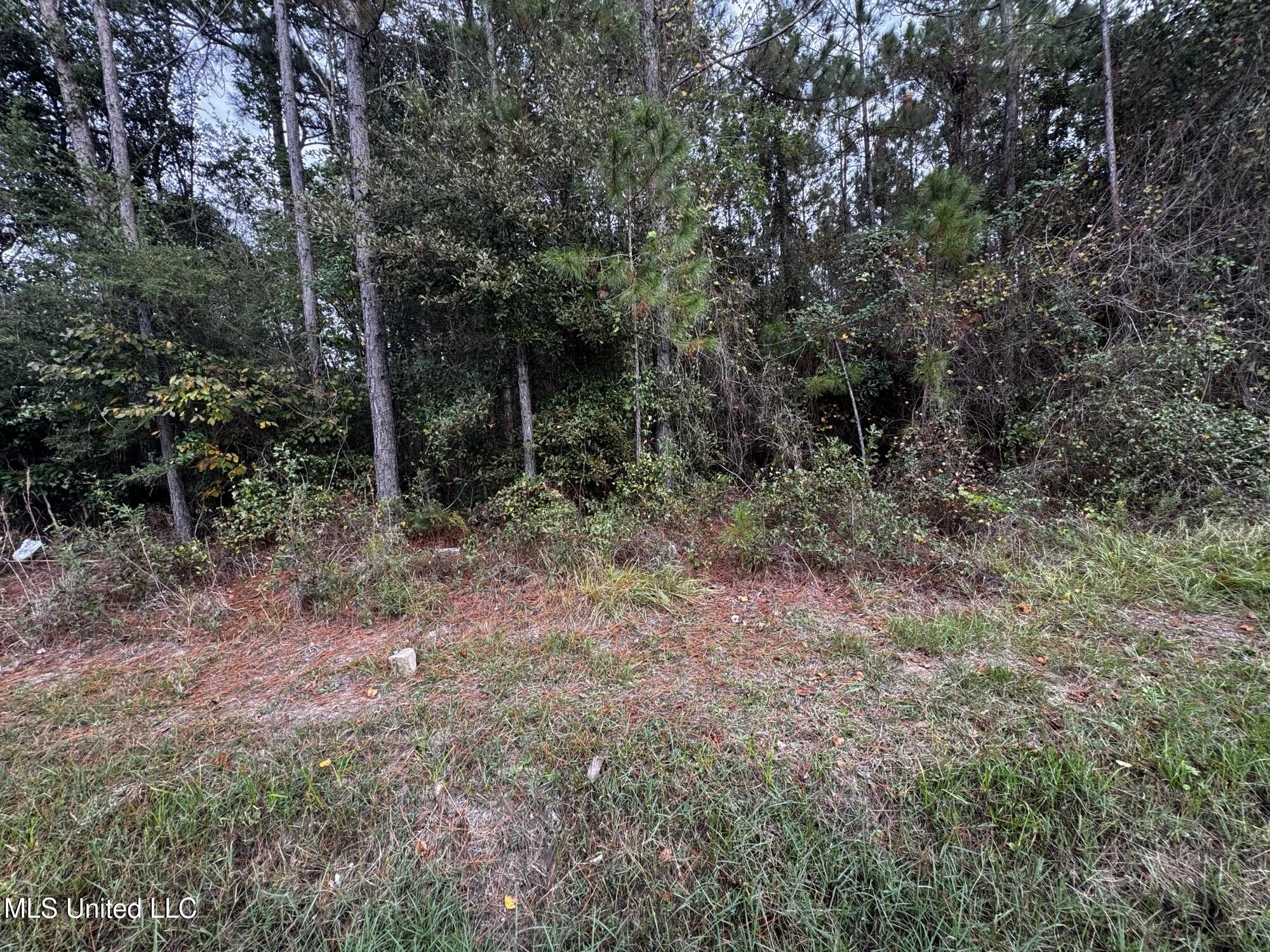 Mclaurin Street Property Photo 1