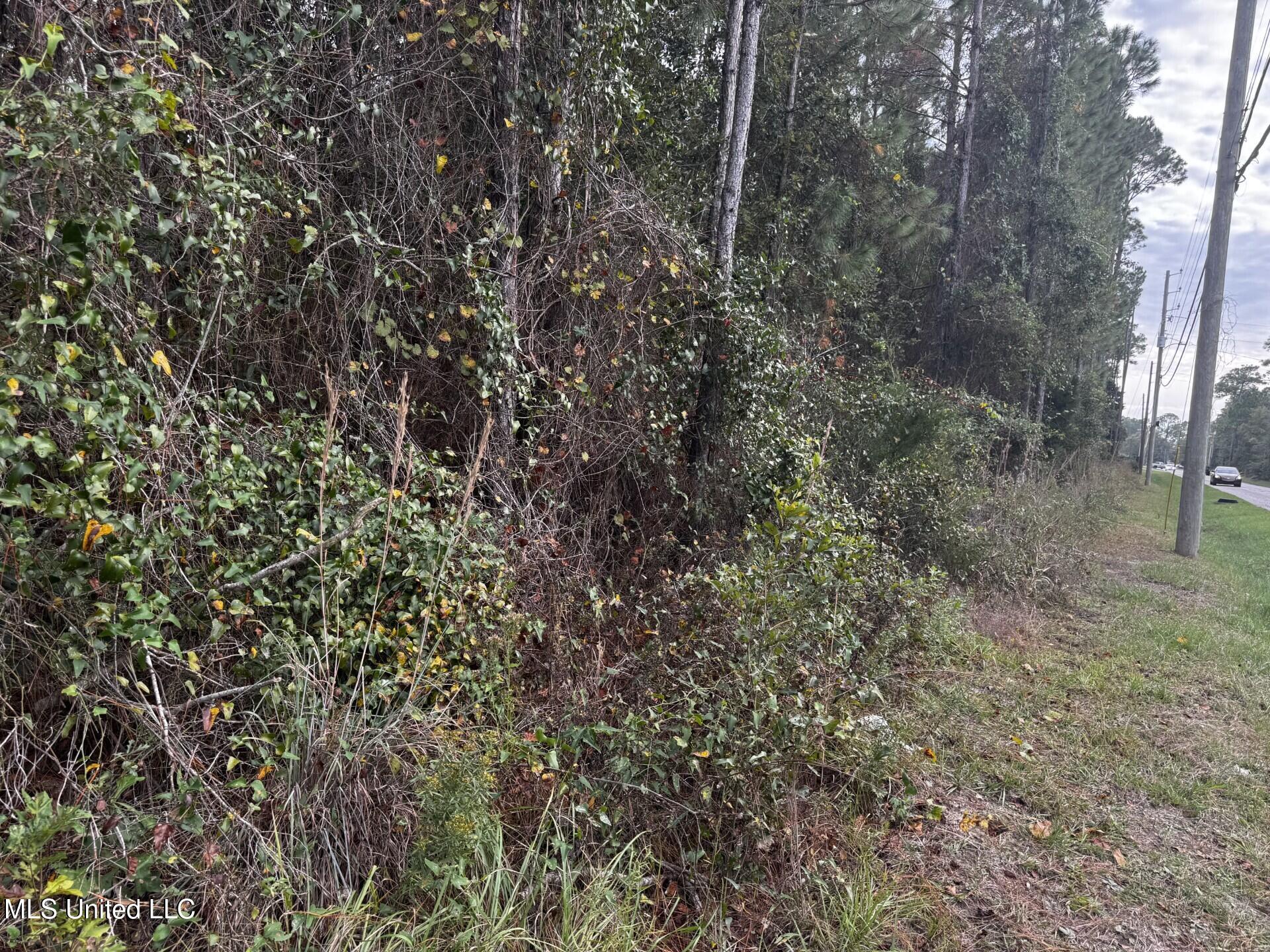 Mclaurin Street Property Photo 2