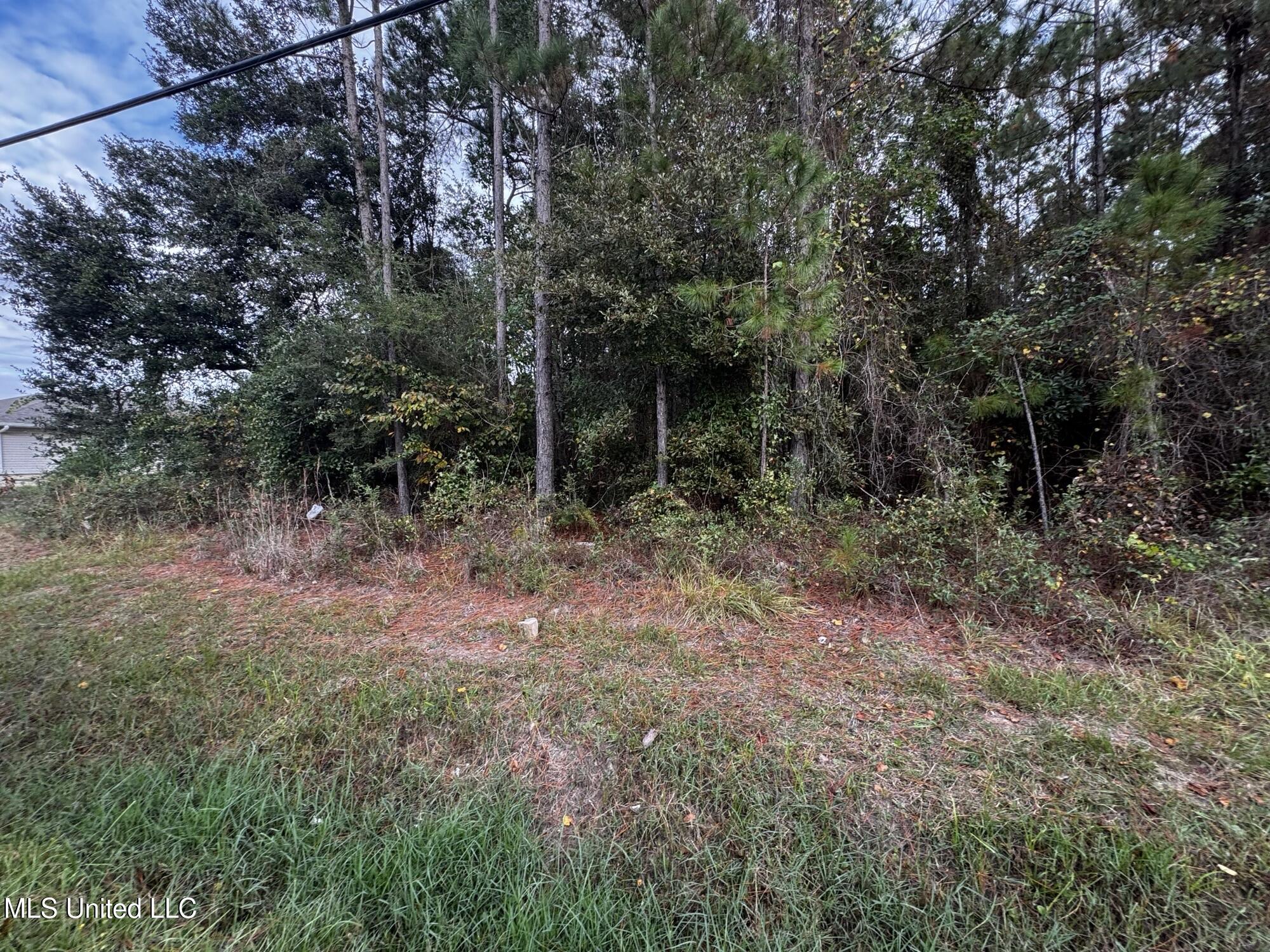 Mclaurin Street Property Photo 4