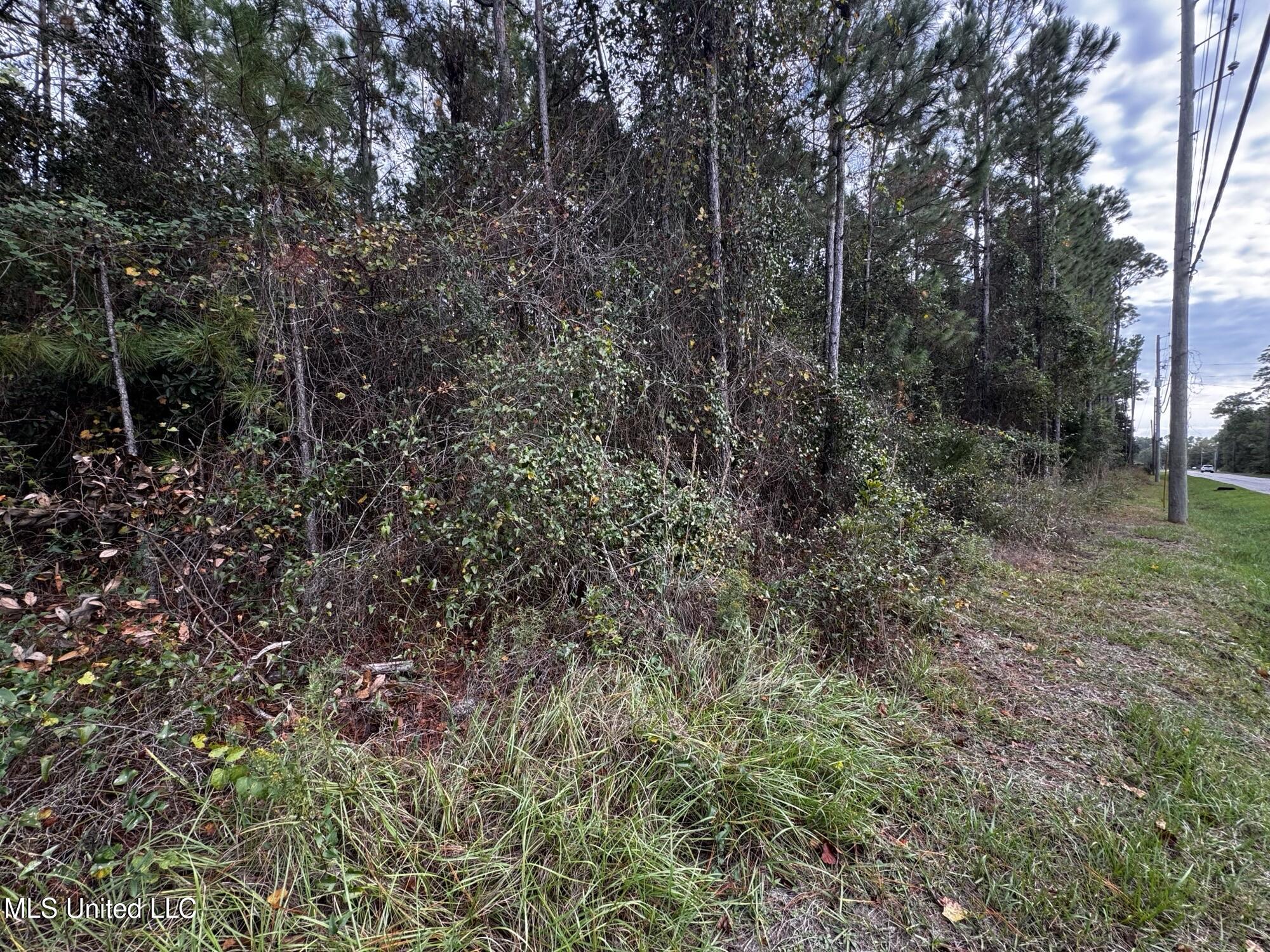 Mclaurin Street Property Photo 5