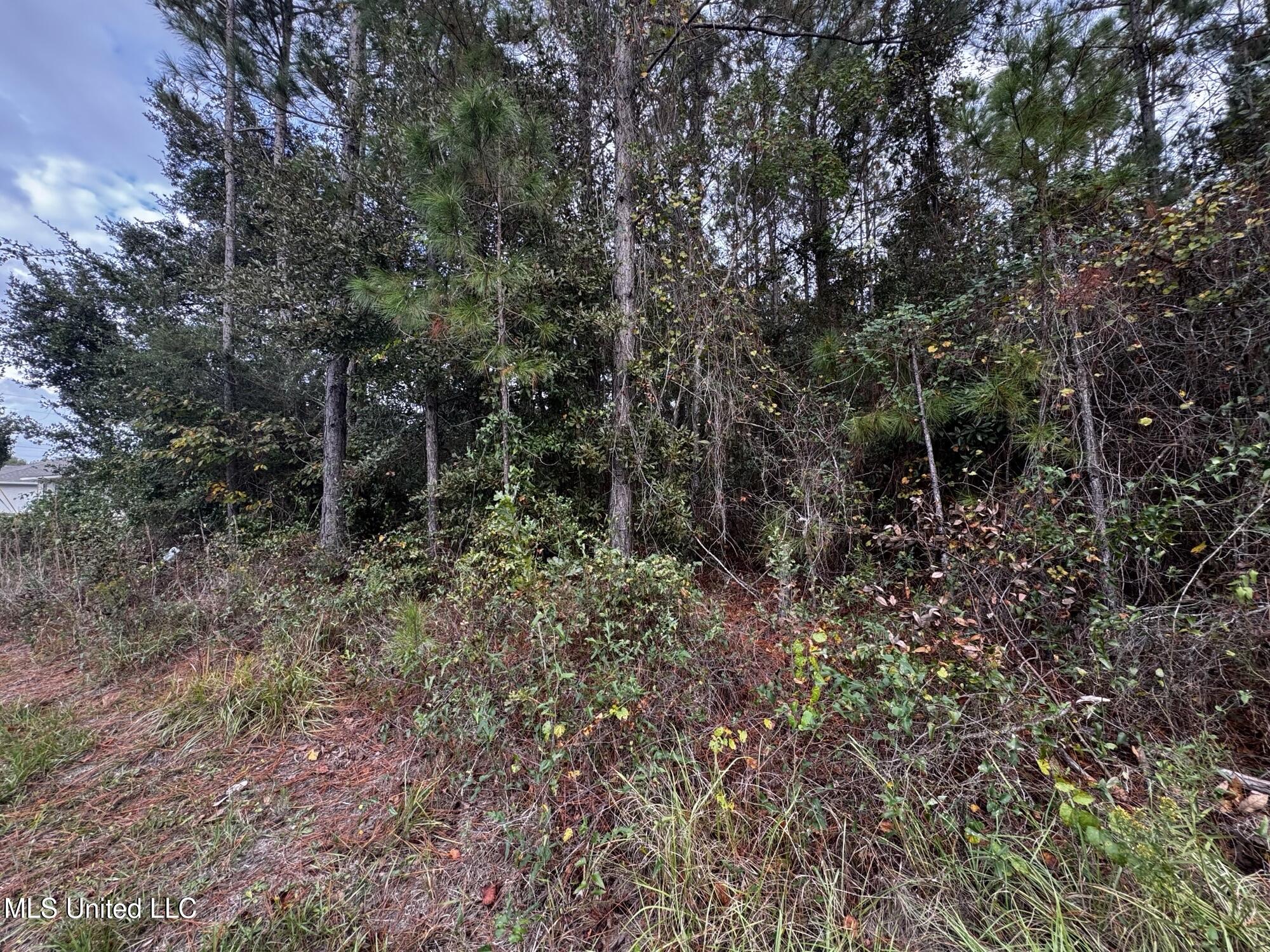 Mclaurin Street Property Photo 6