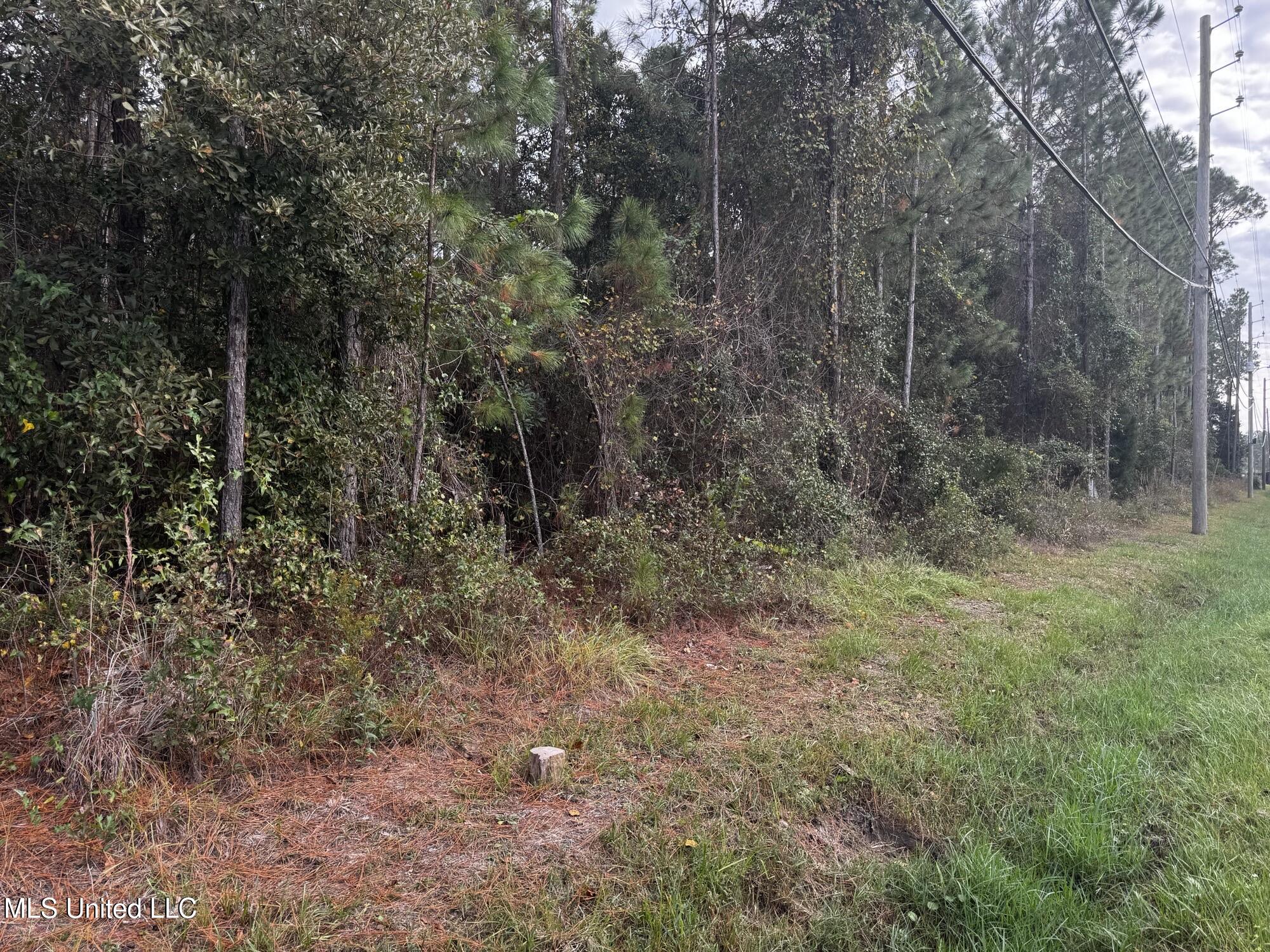 Mclaurin Street Property Photo 8