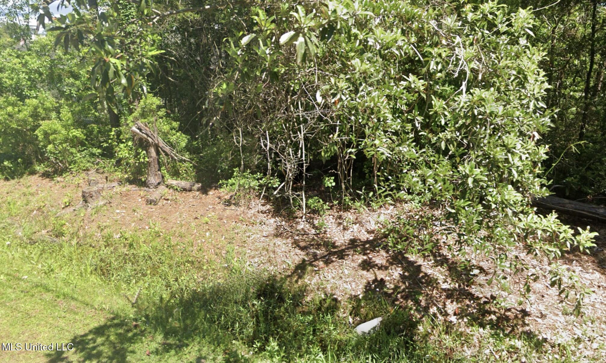 0 Venus Street Property Photo 3