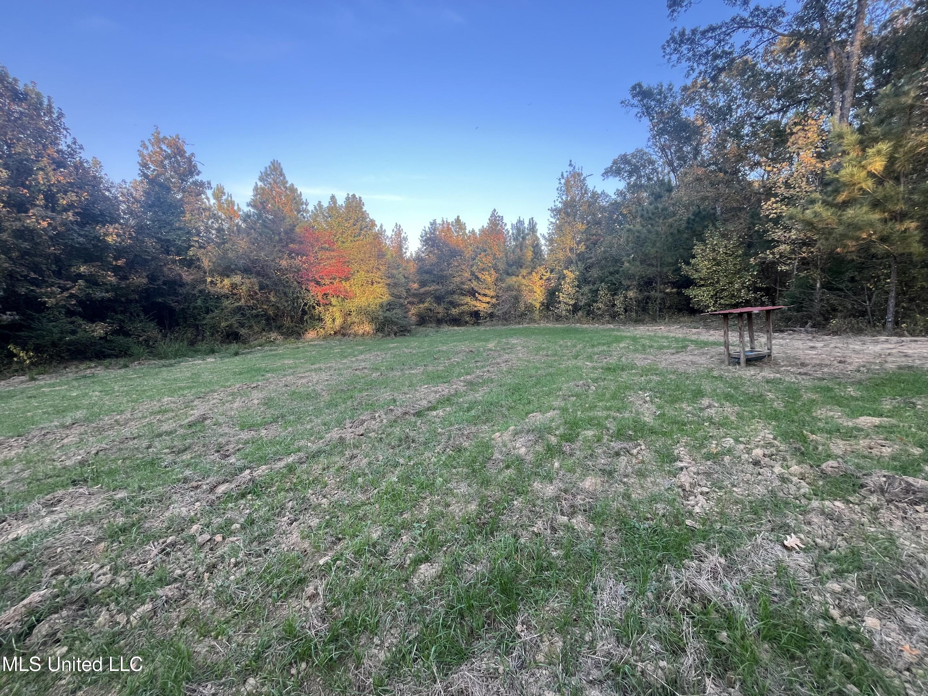 0 St. Thomas Parkway Property Photo 15
