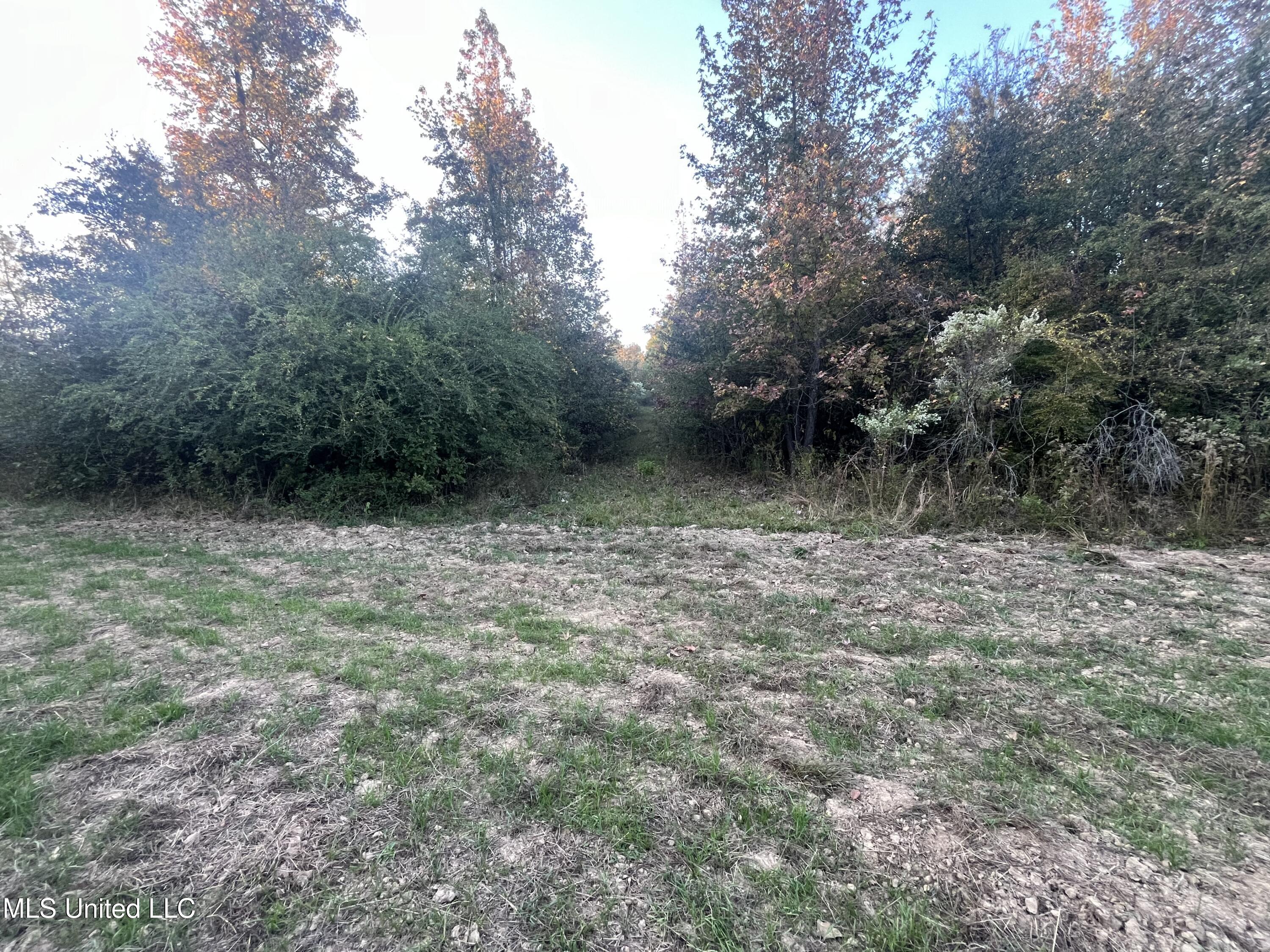 0 St. Thomas Parkway Property Photo 16