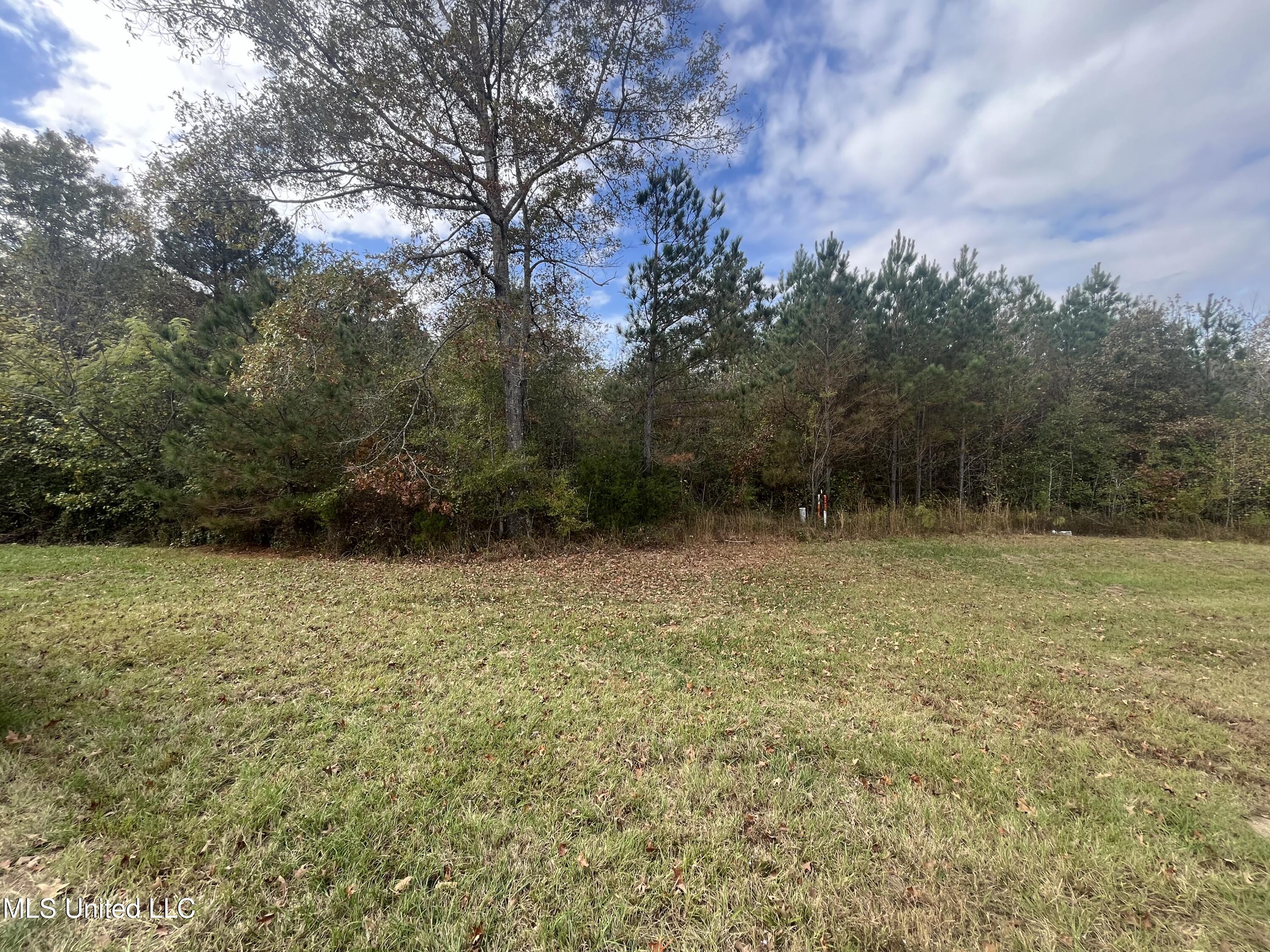 0 St Thomas Parkway Property Photo 2