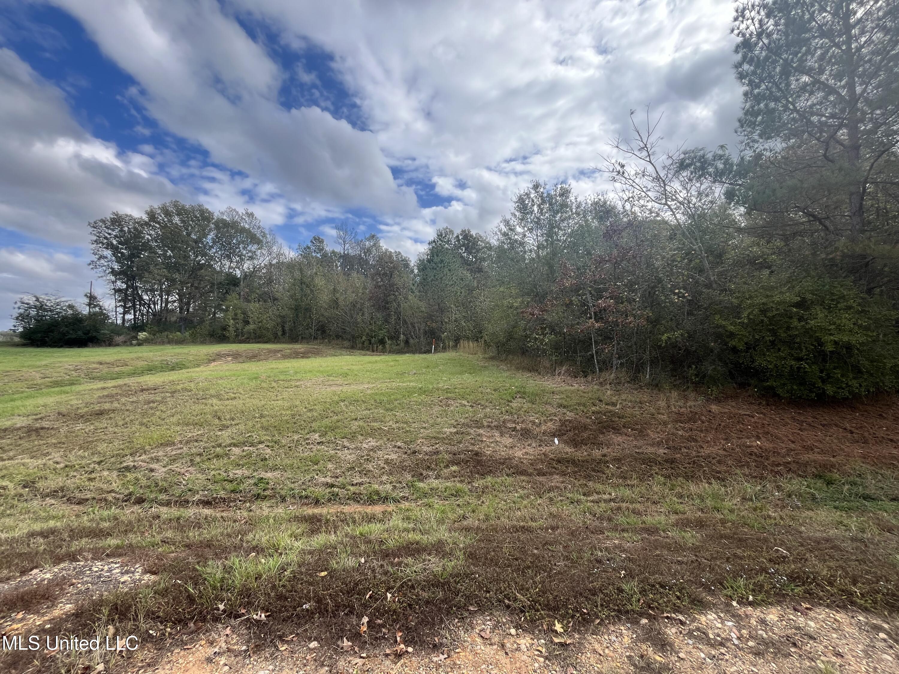0 St Thomas Parkway Property Photo 3
