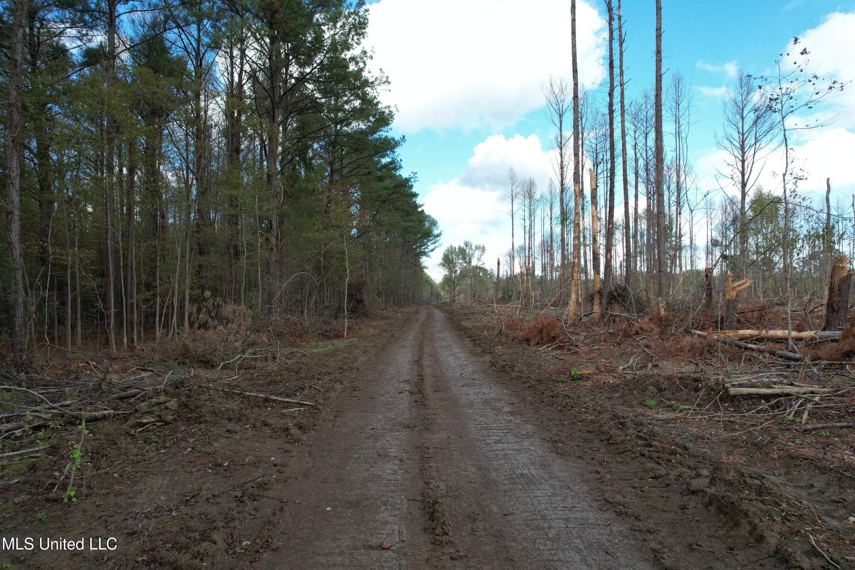Holly Bush Road Road Property Photo 4