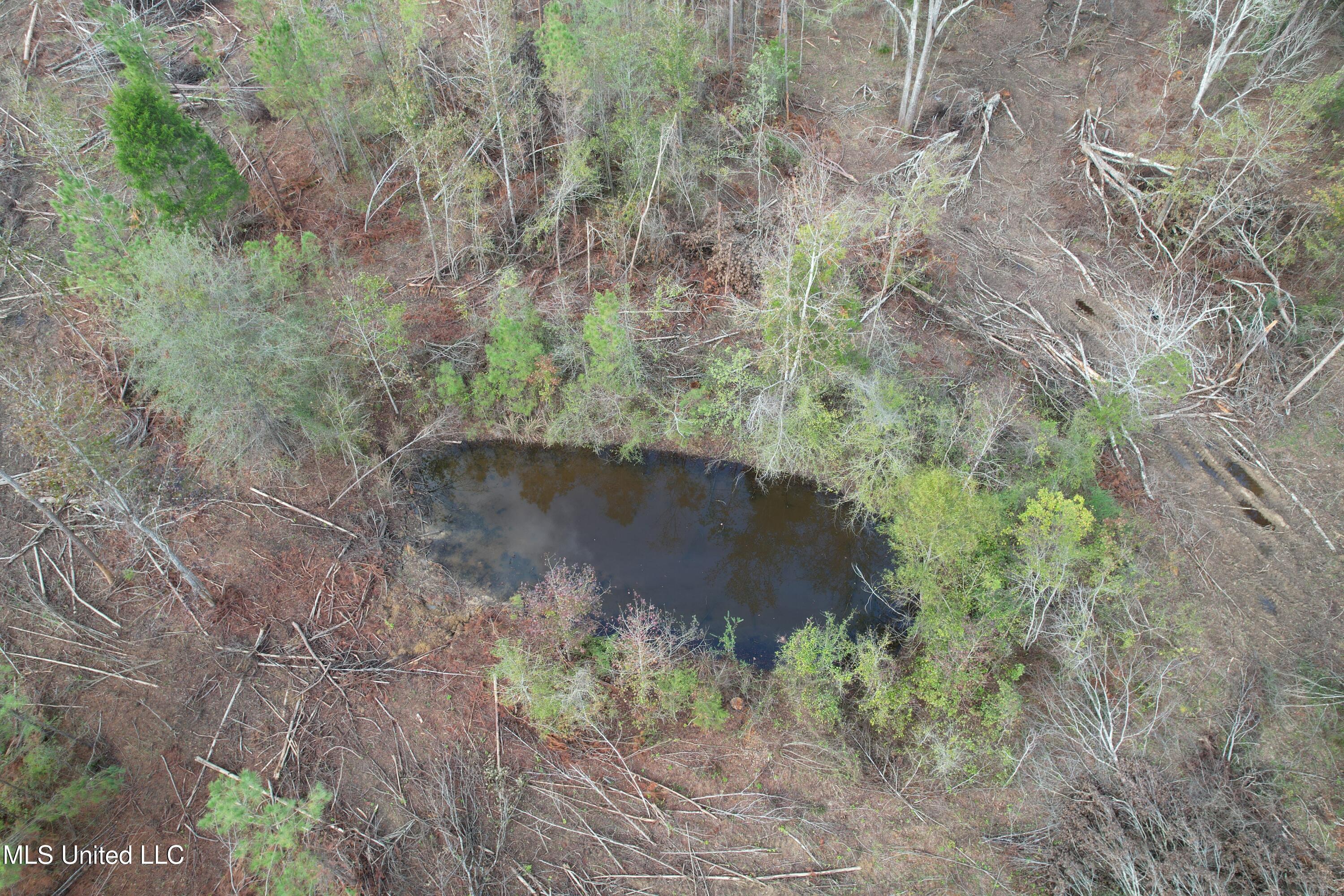 Holly Bush Road Road Property Photo 6