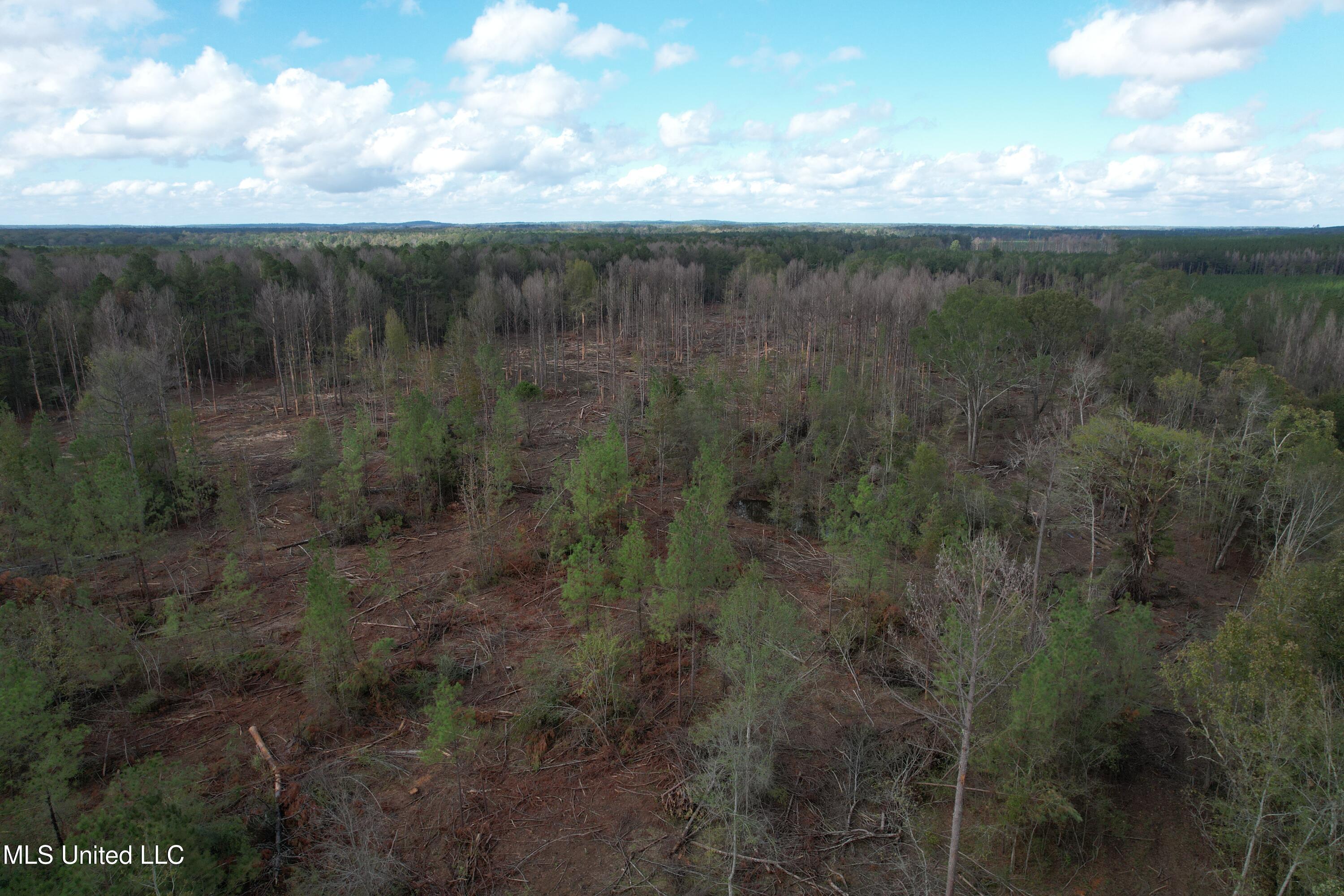 Holly Bush Road Road Property Photo 8