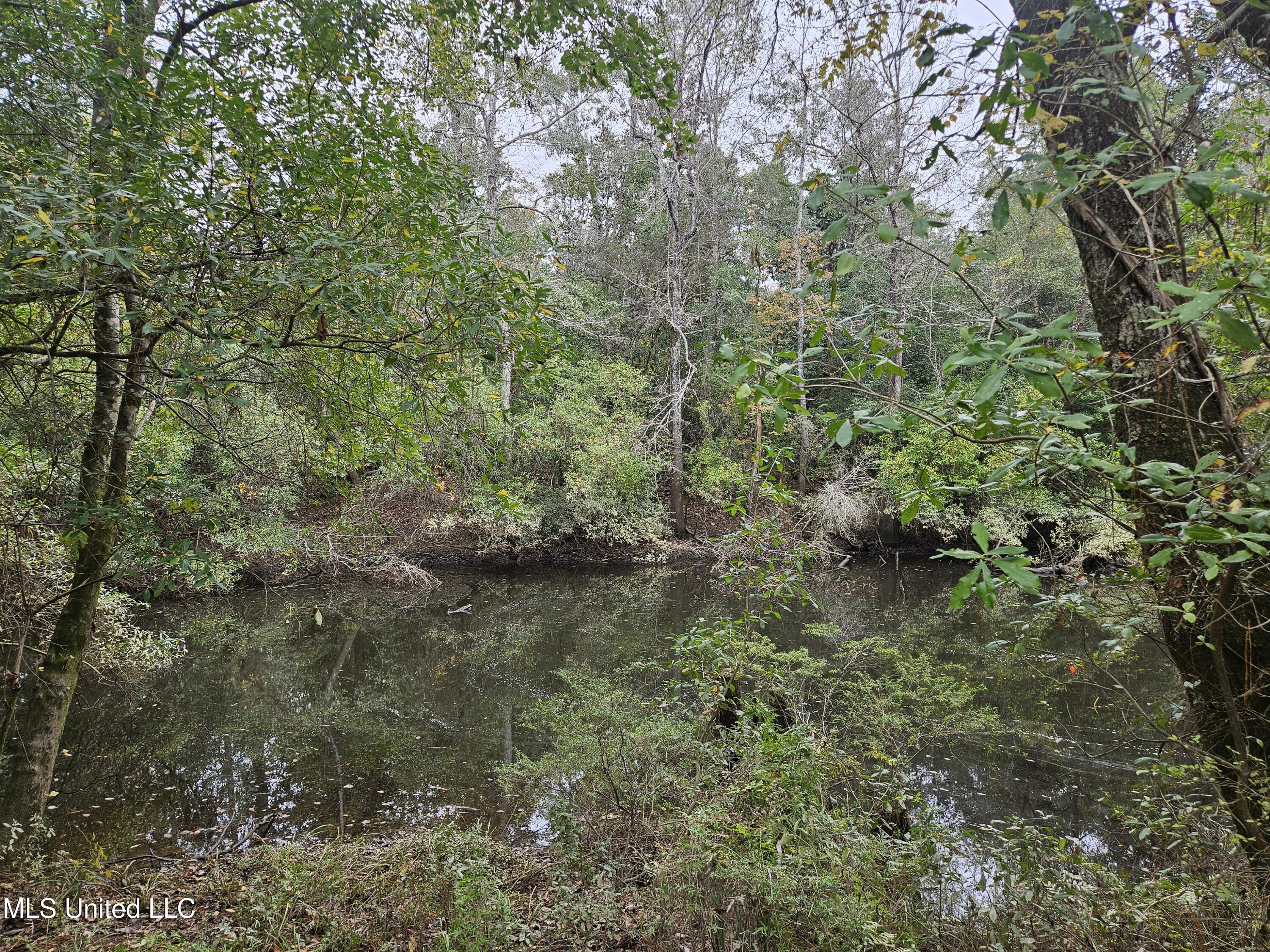 River Road Property Photo 1