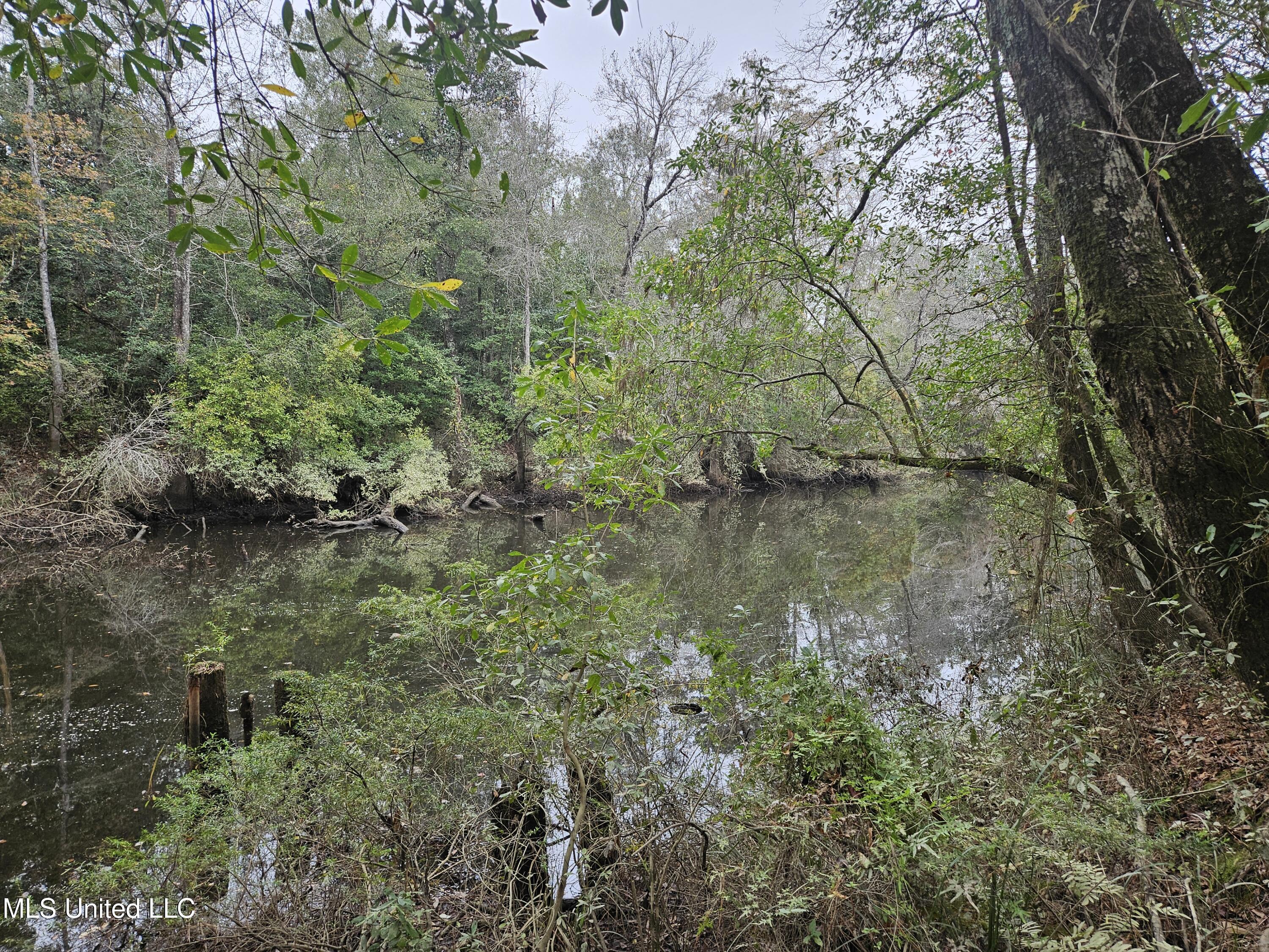 River Road Property Photo 2