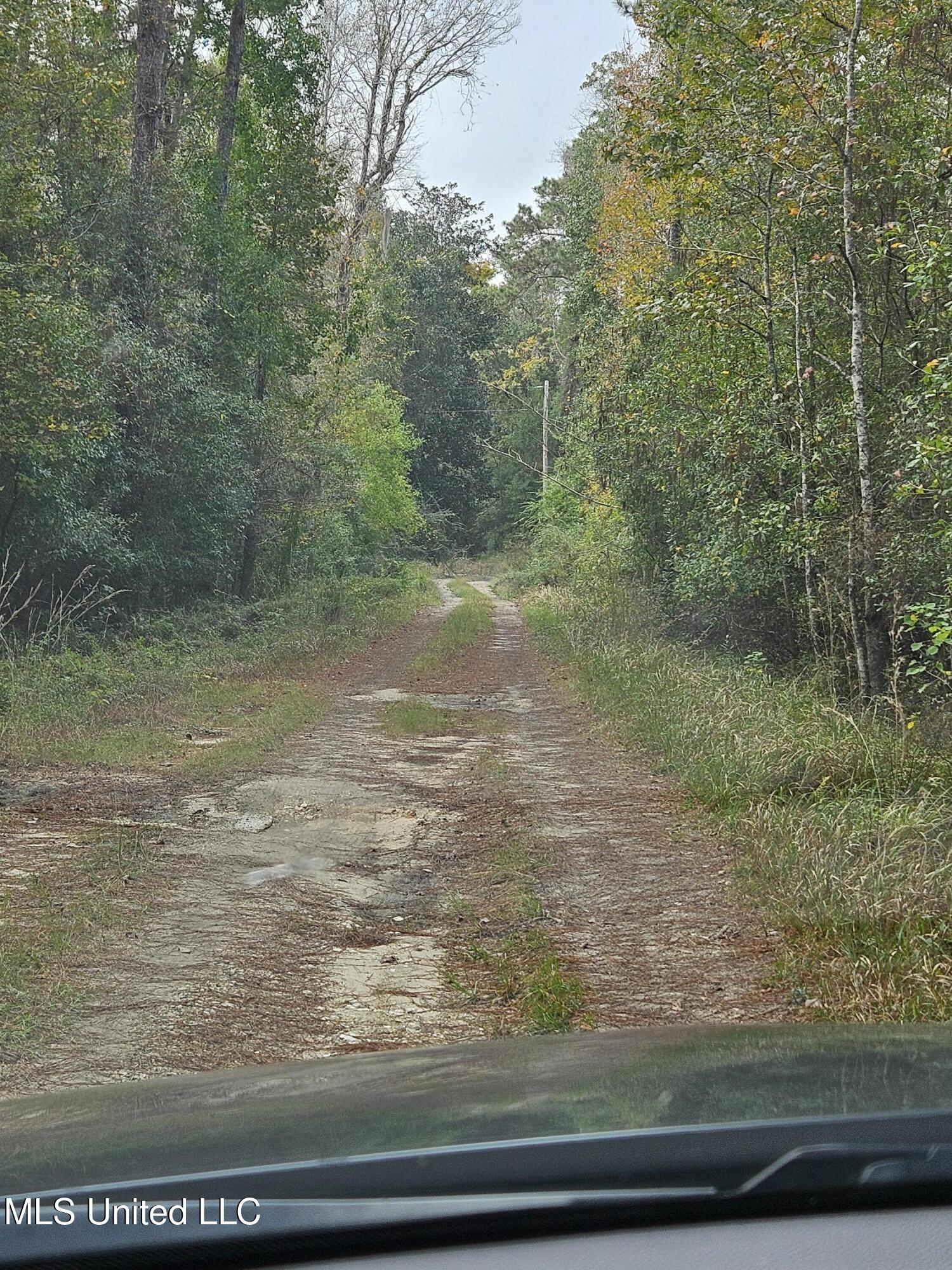 River Road Property Photo 3
